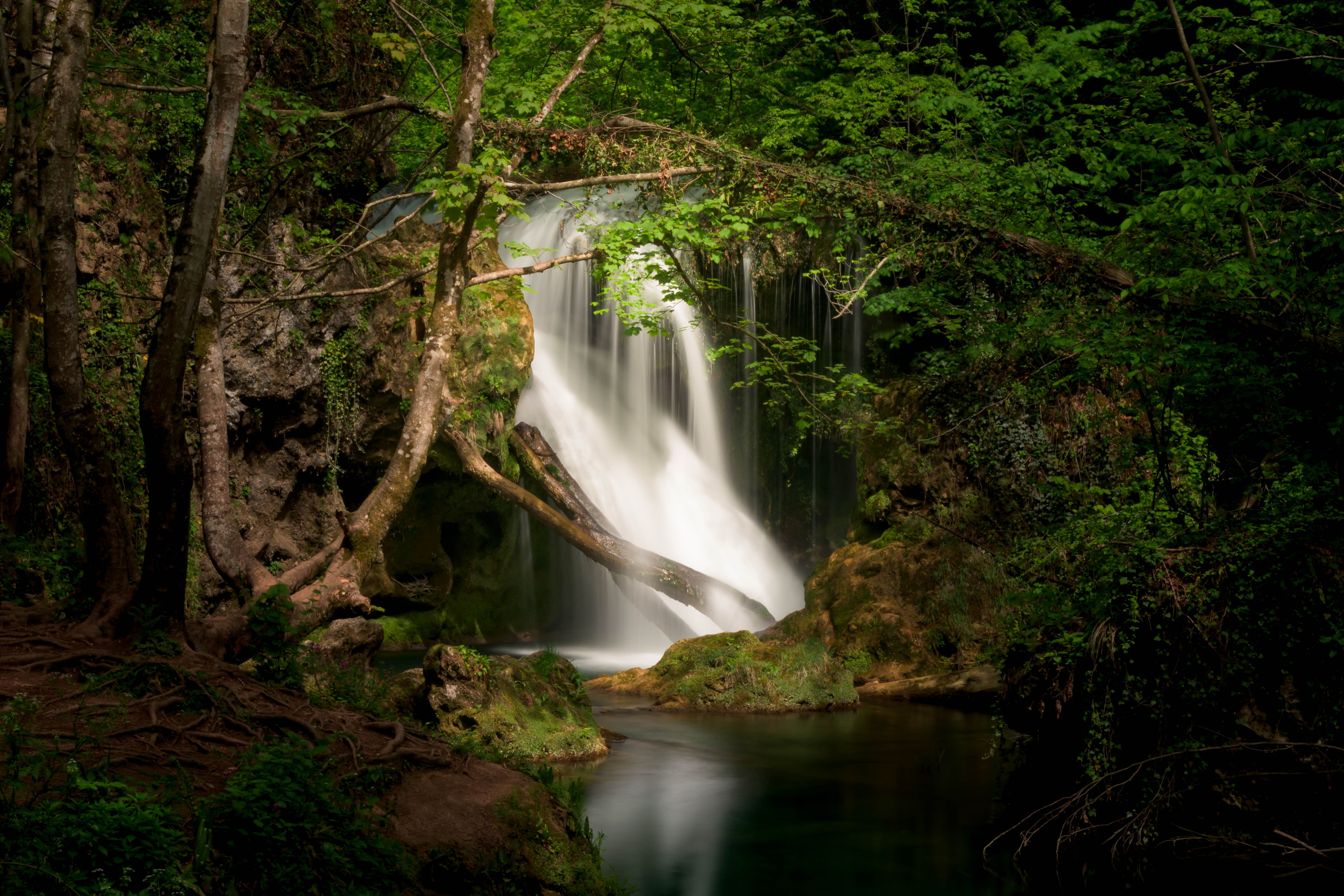 4K forest waterfall in nature HD Wallpaper
