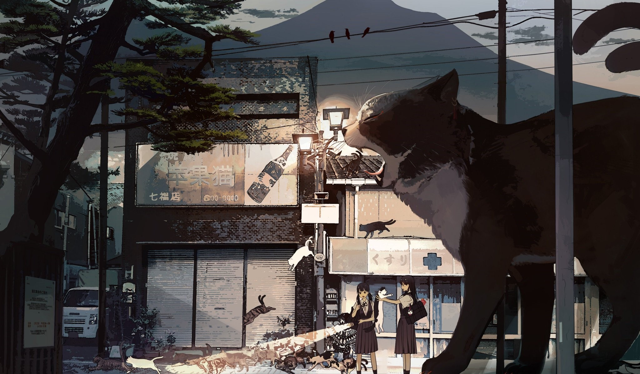 Giant cat in a Japanese town at night HD Wallpaper