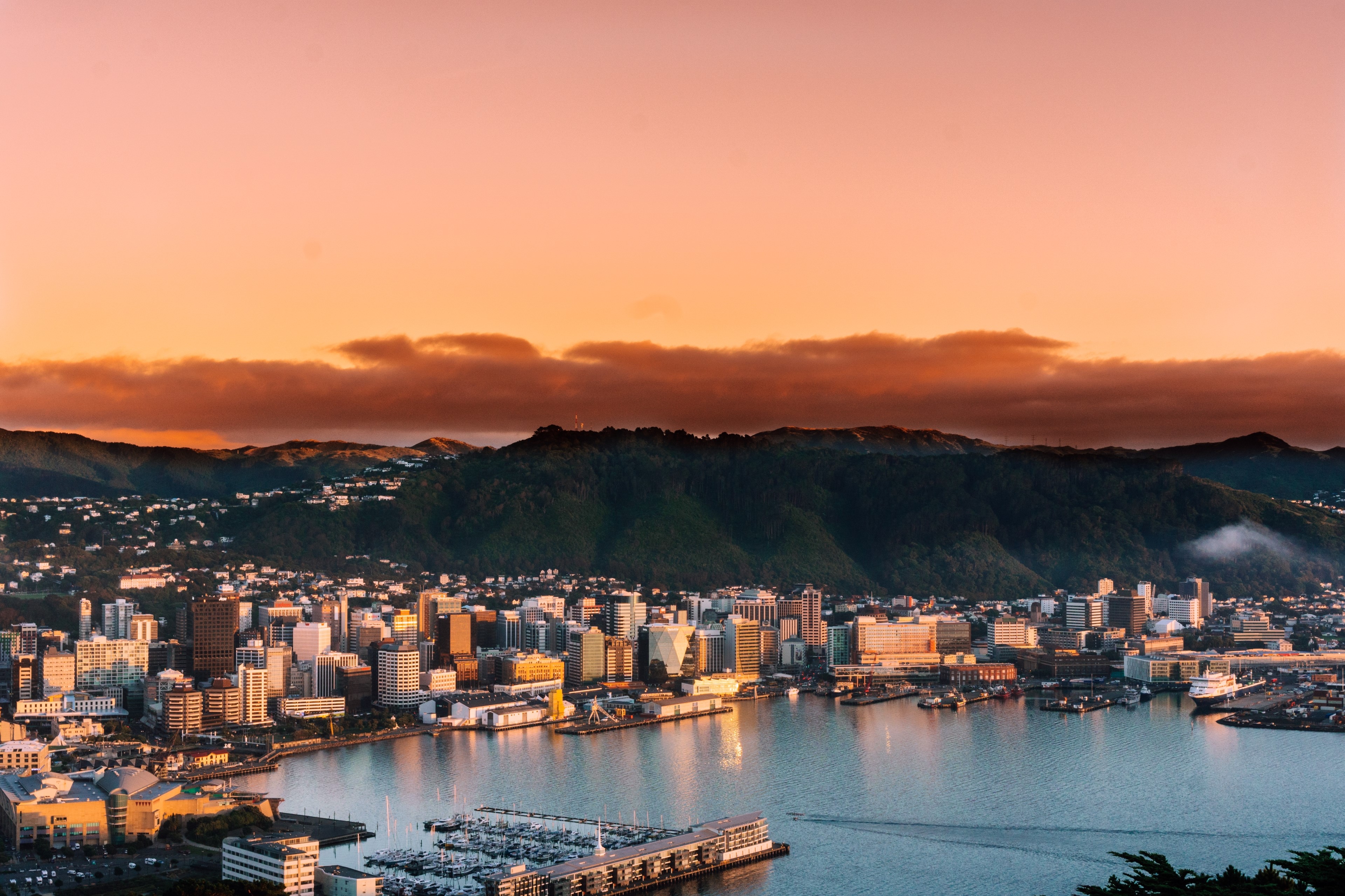 Wellington cityscape at sunrise with mountains HD Wallpaper