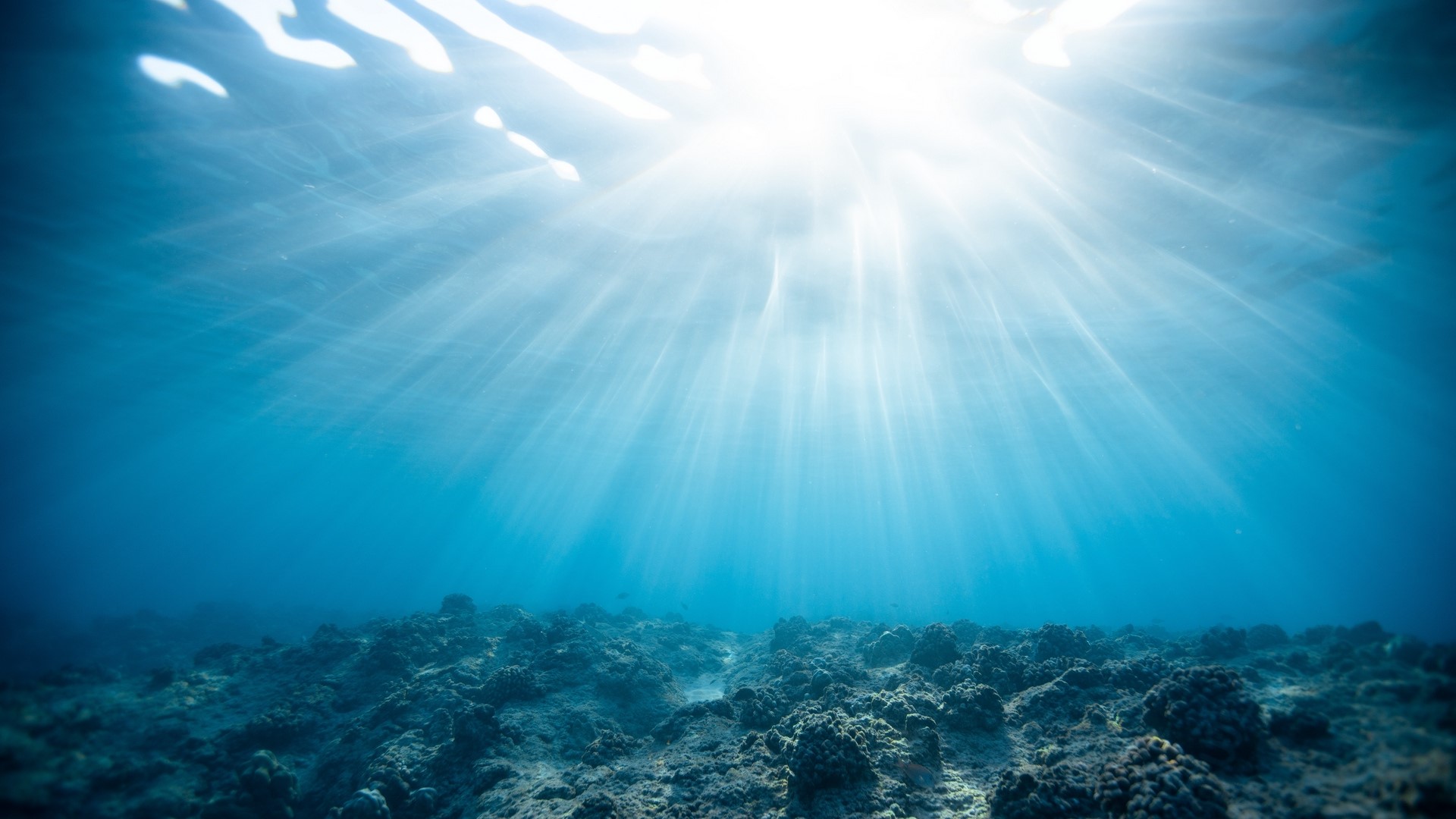 Underwater sunlight beams on coral reef HD Wallpaper