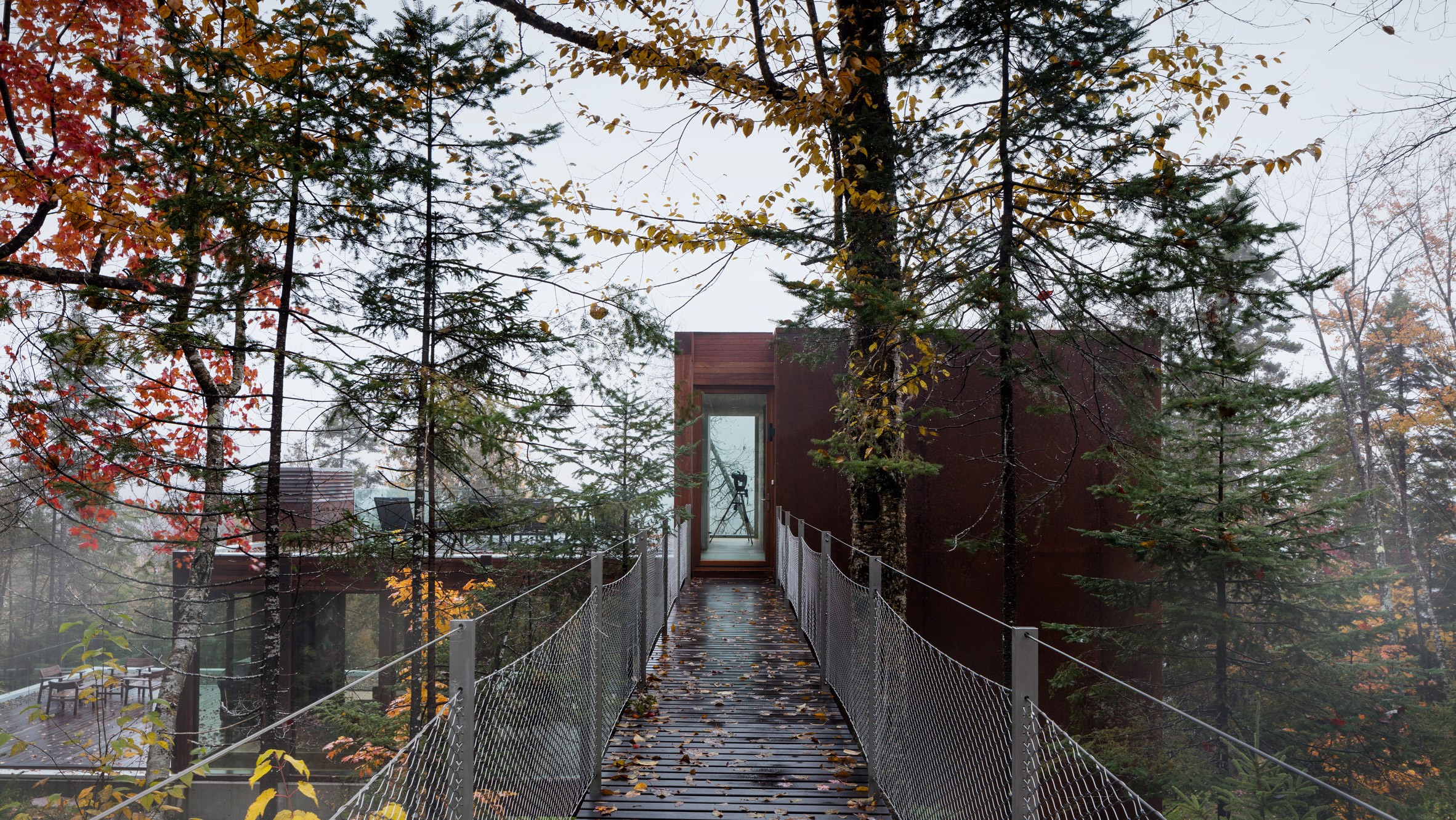 Modern architecture in a forest during fall HD Wallpaper