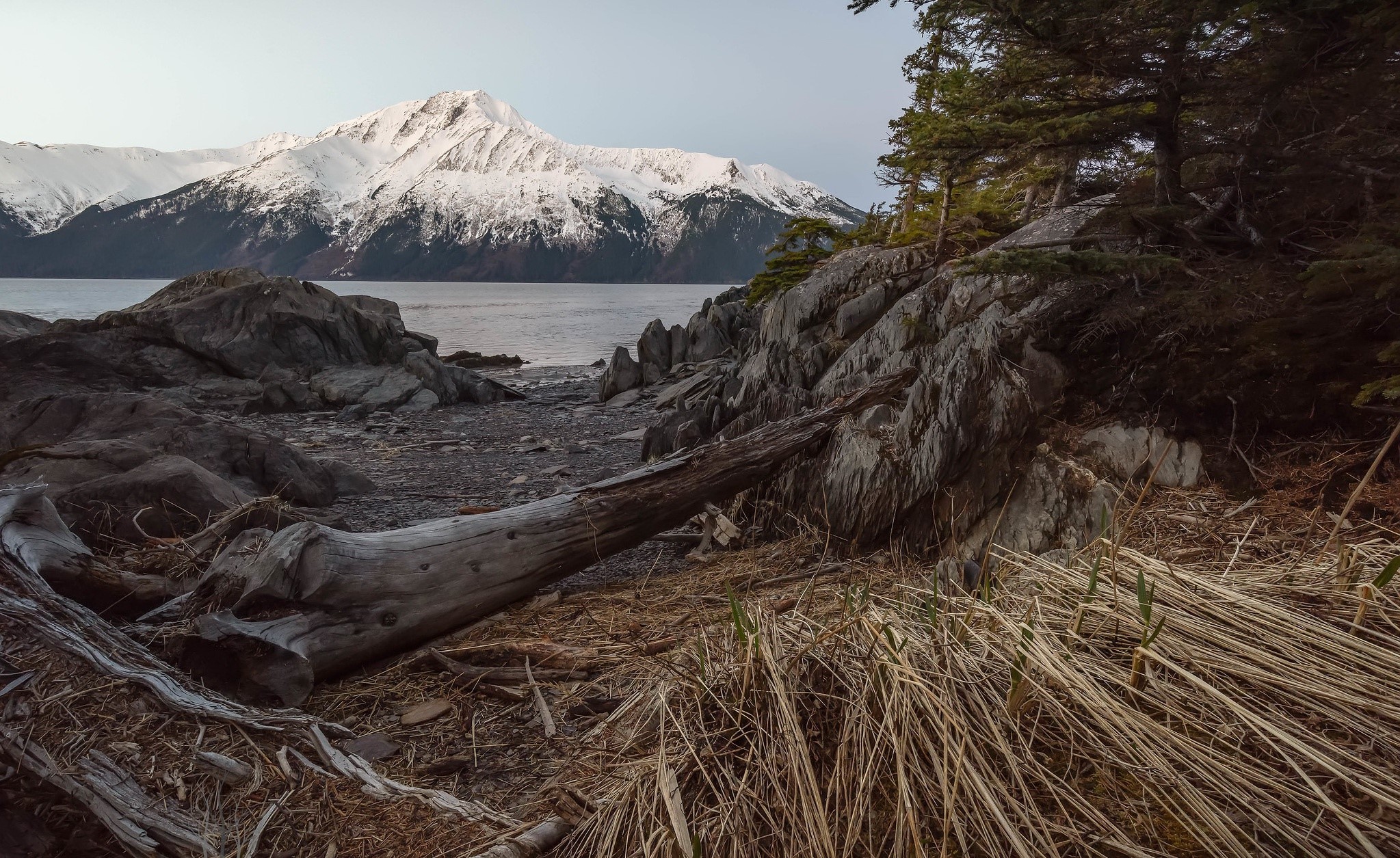 Snow-capped mountains and rocky shore with driftwood HD Wallpaper