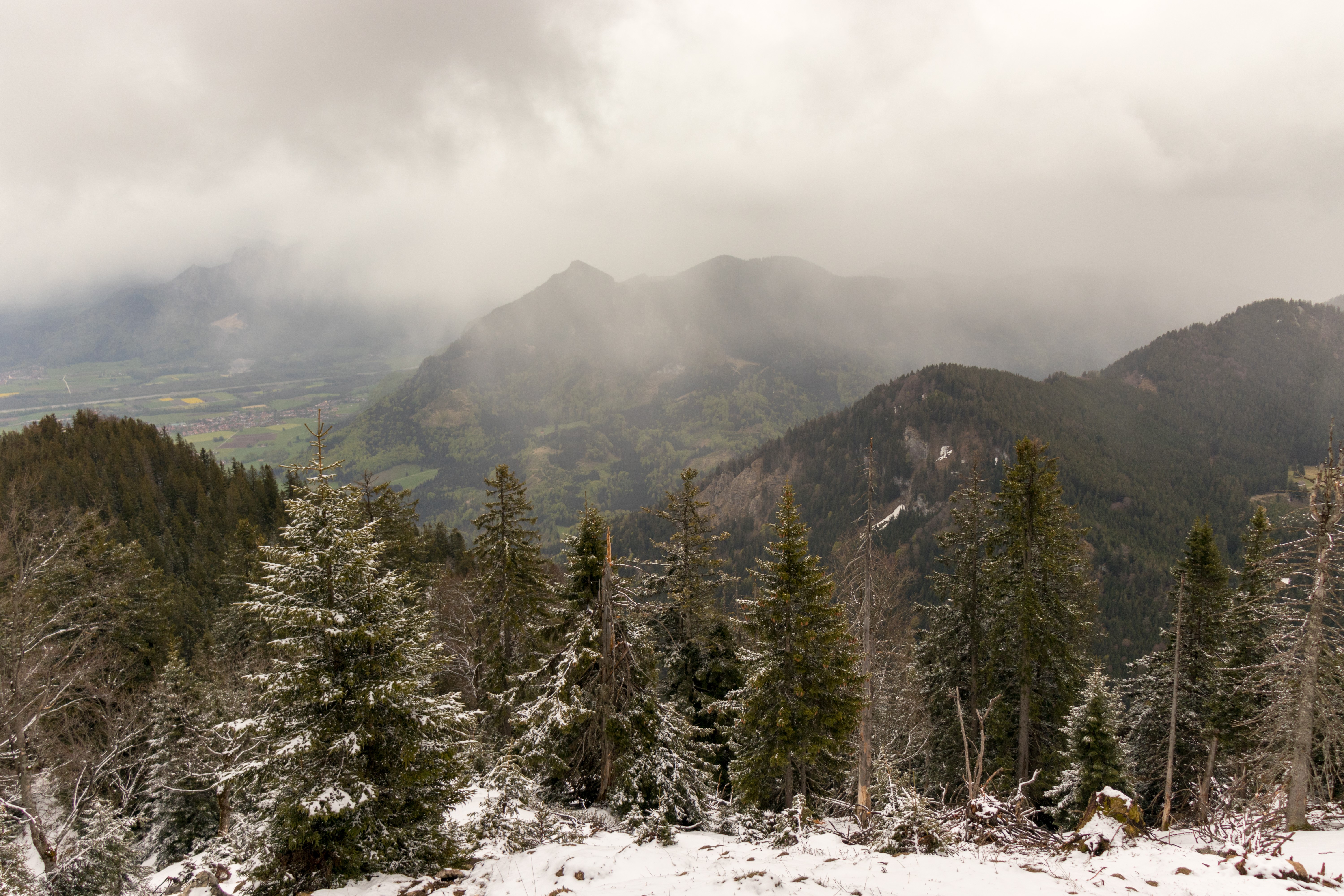 Mountains and trees with snow HD Wallpaper