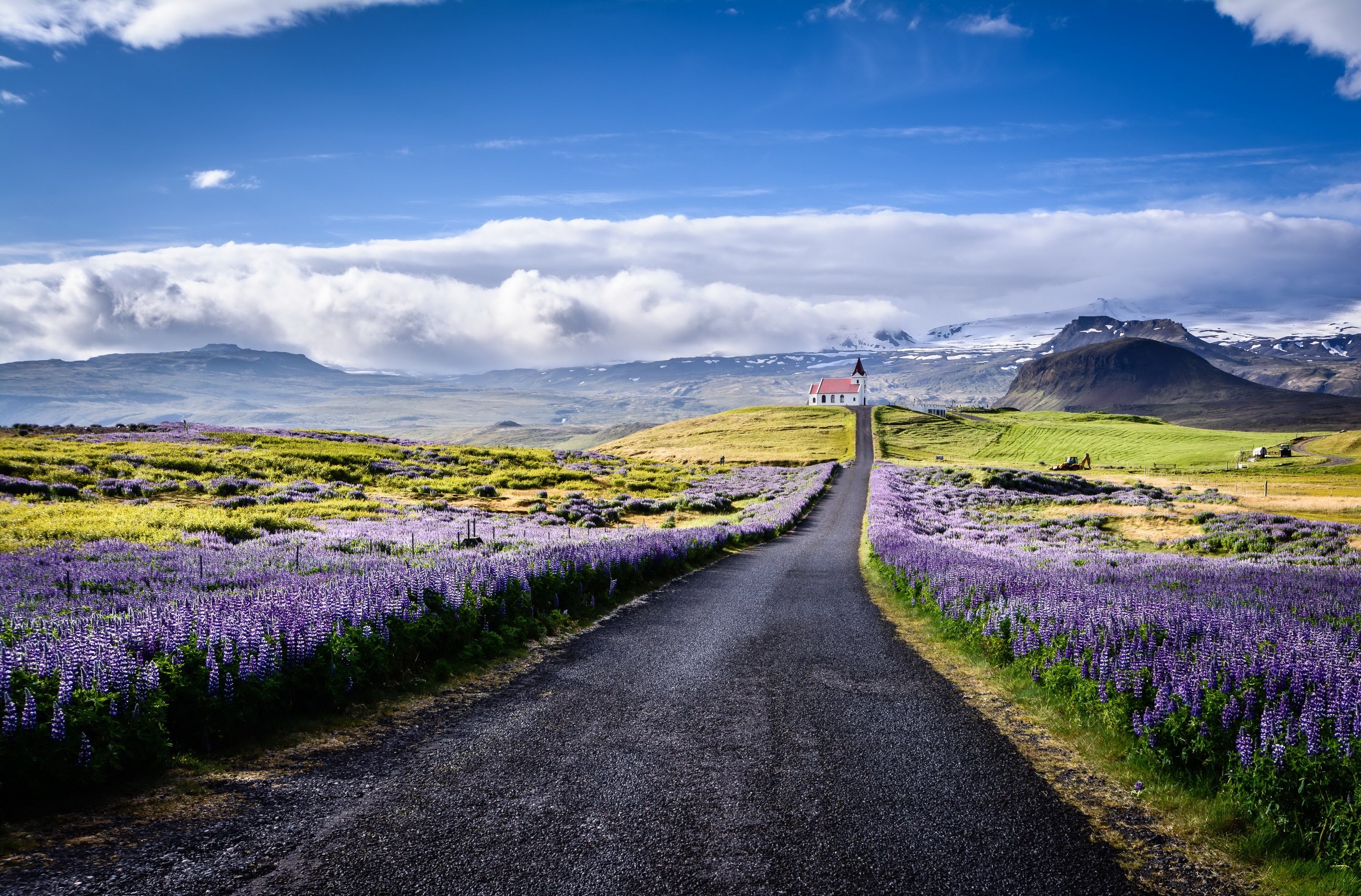 Road leading to a church with lavender fields in Iceland HD Wallpaper
