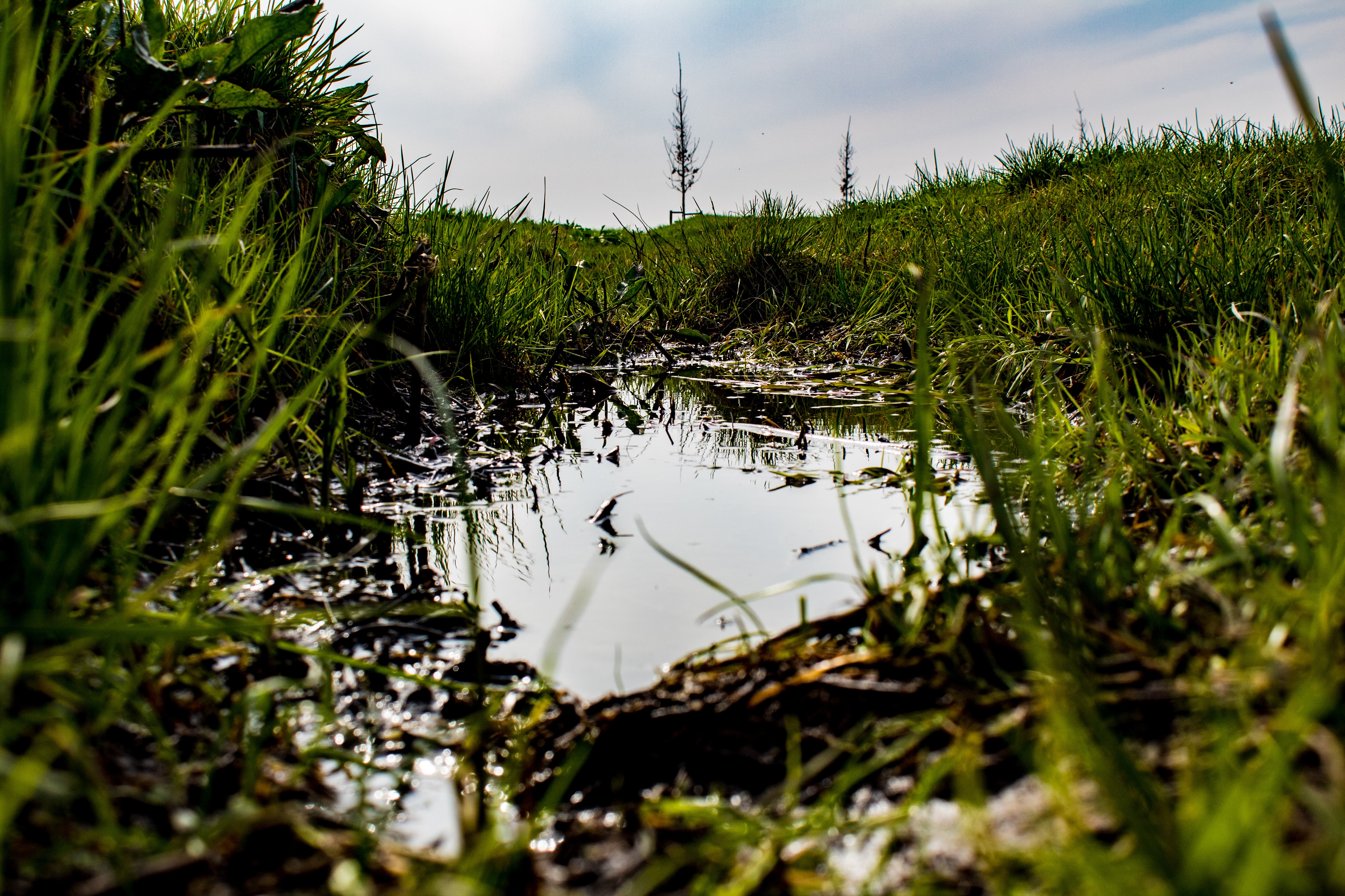 Muddy puddle surrounded by grass HD Wallpaper