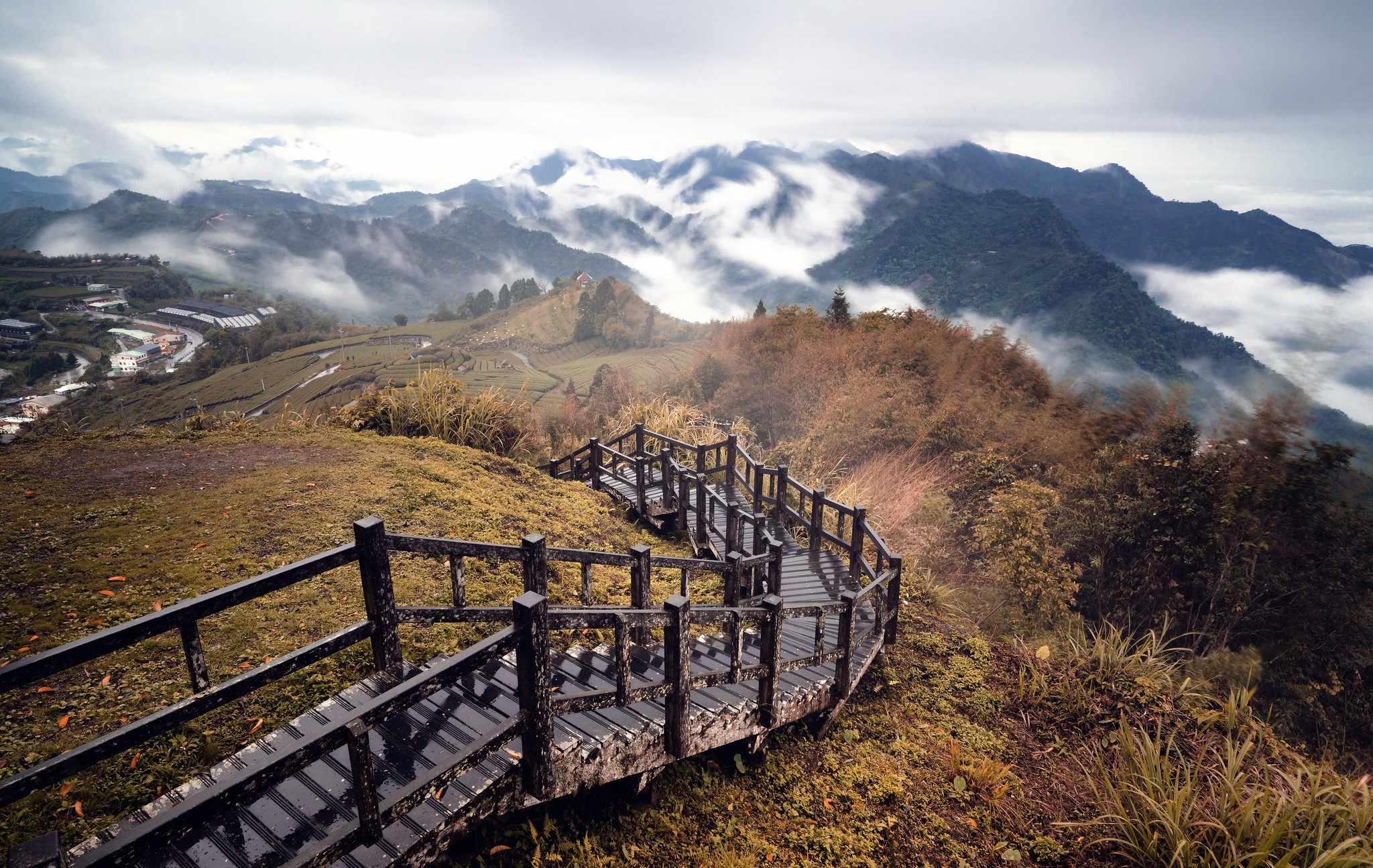 Wooden walkway overlooking misty mountains and tea plantations HD Wallpaper