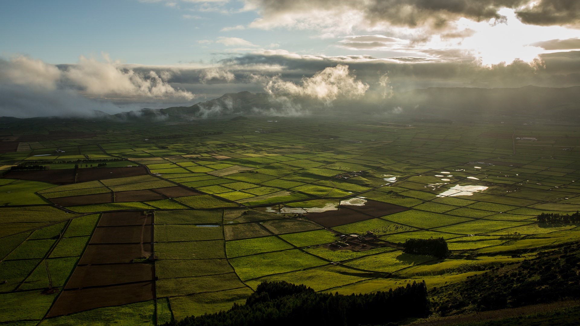 Aerial view of agricultural fields in Portugal HD Wallpaper
