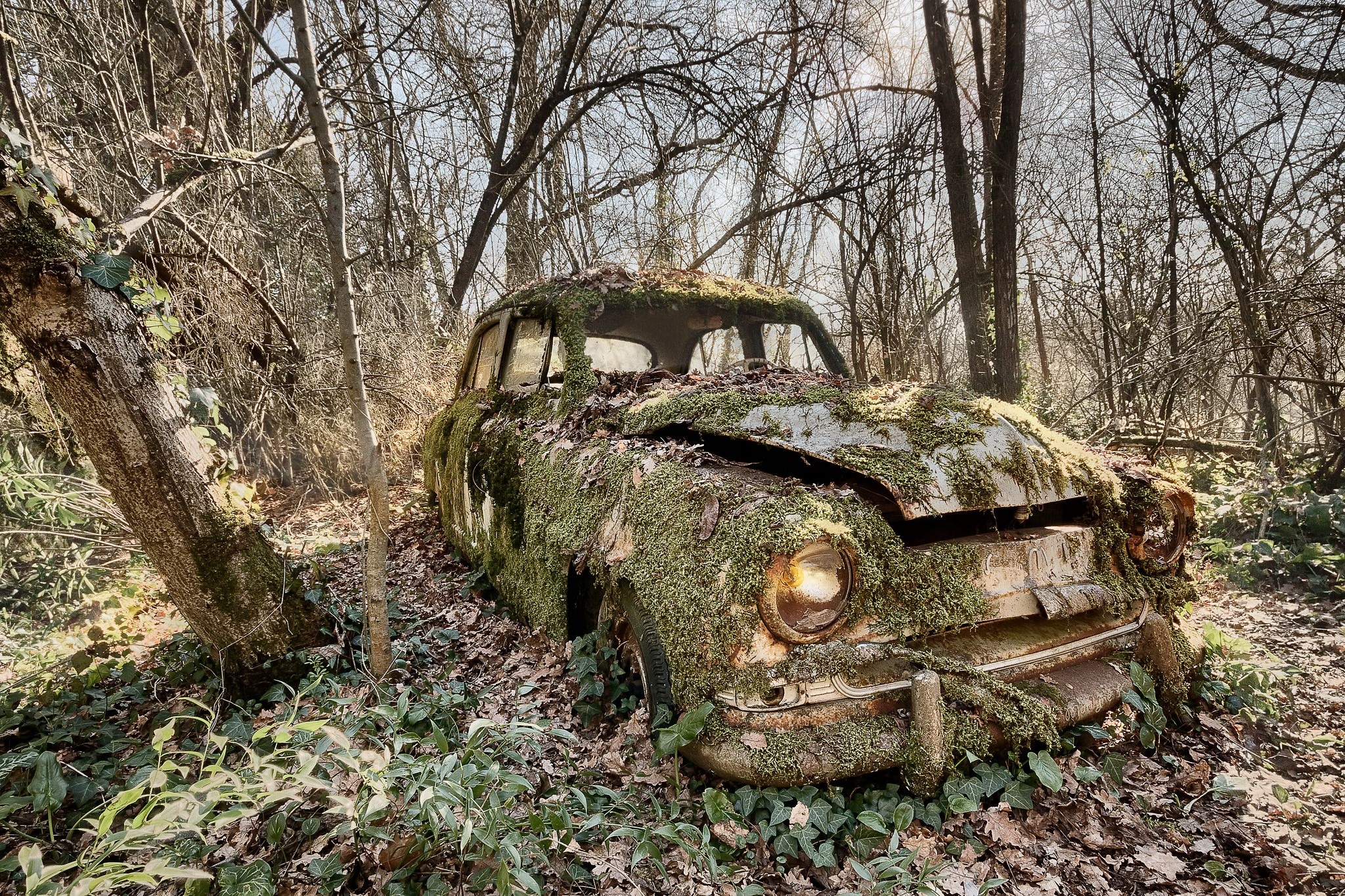 Moss-covered abandoned car in a forest HD Wallpaper
