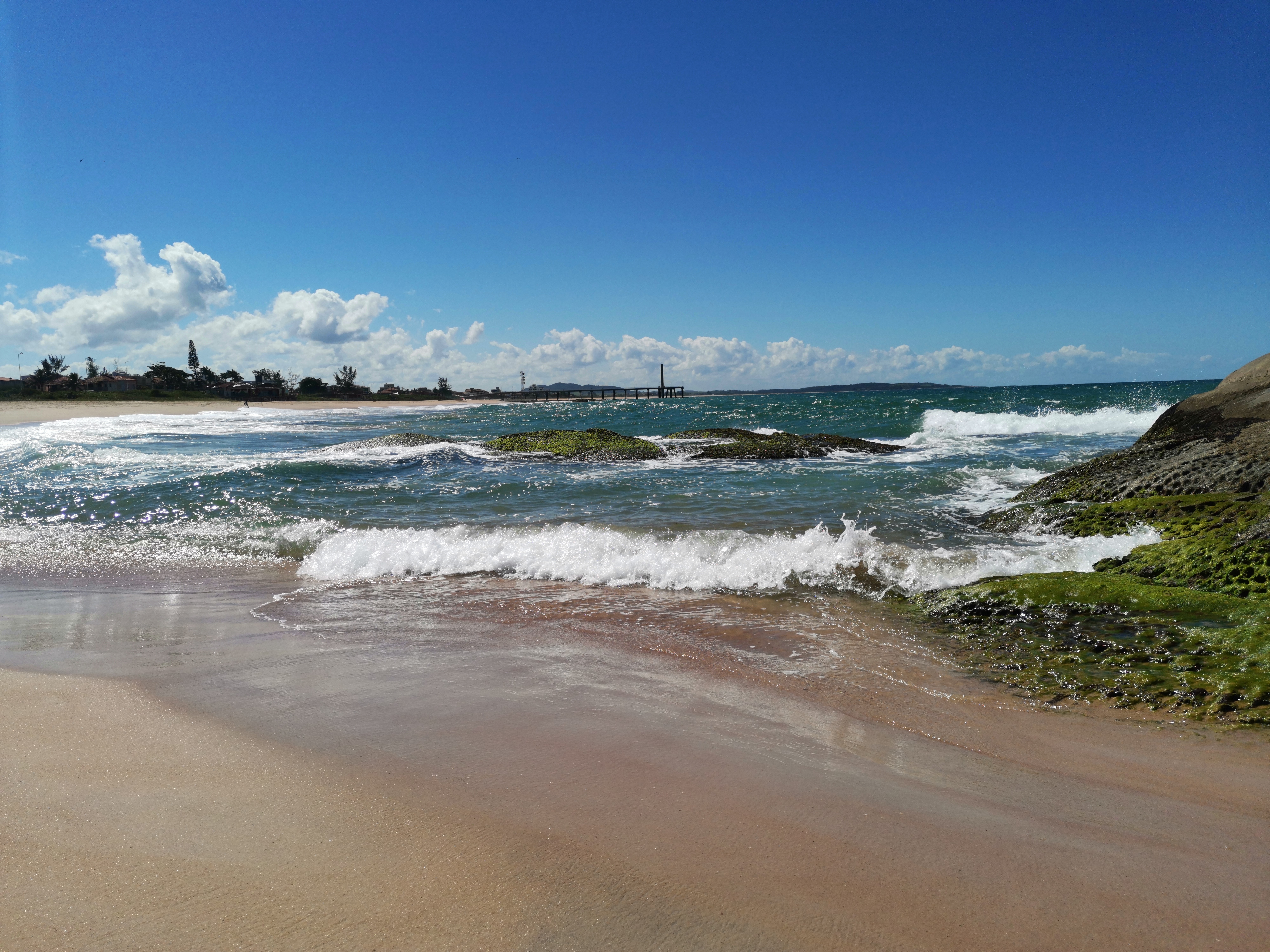 Beach with waves and algae-covered rocks HD Wallpaper
