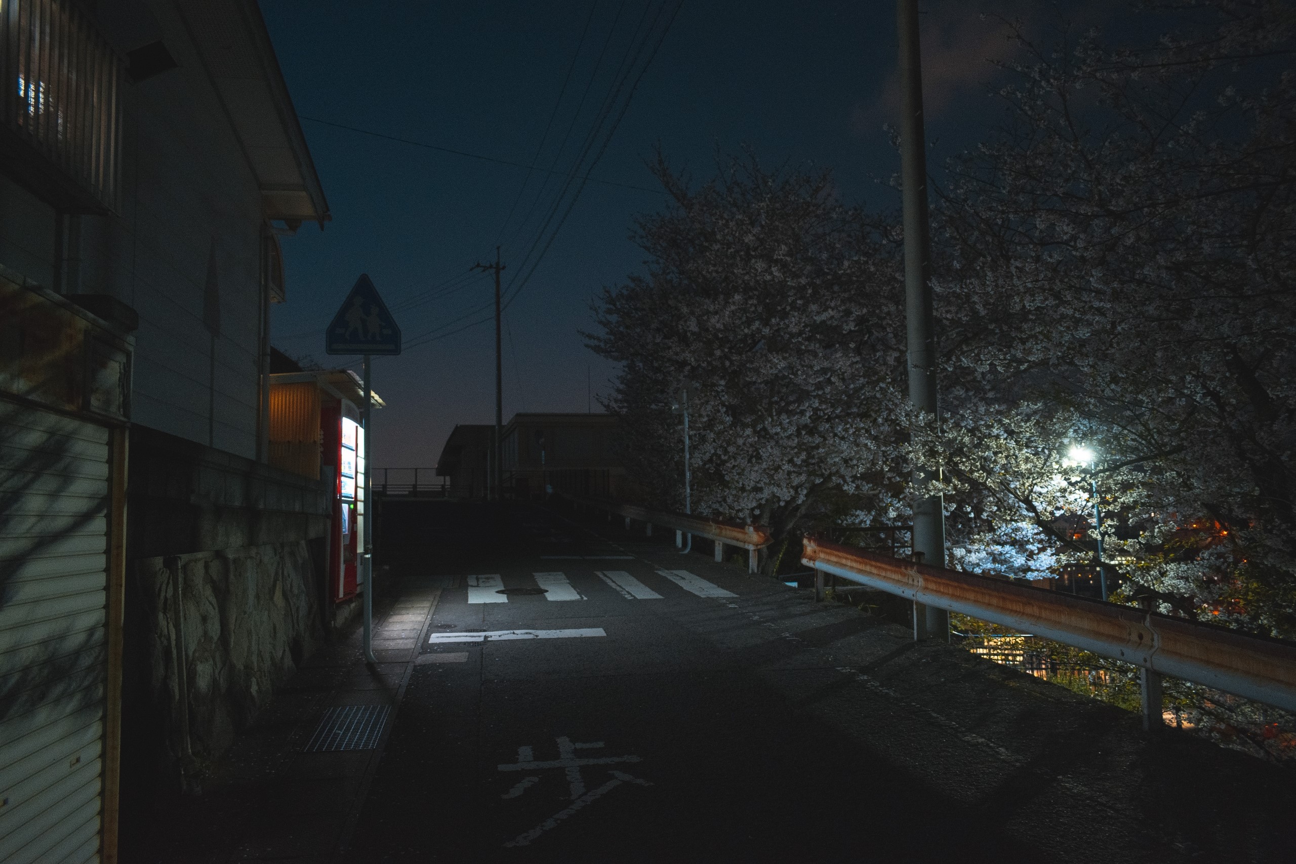 Night street with cherry blossoms in Japan HD Wallpaper