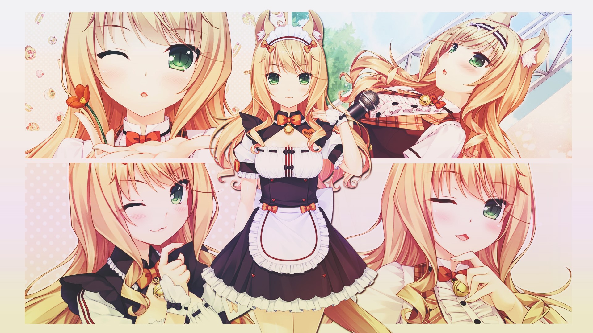 Maple from Neko Para HD Wallpaper