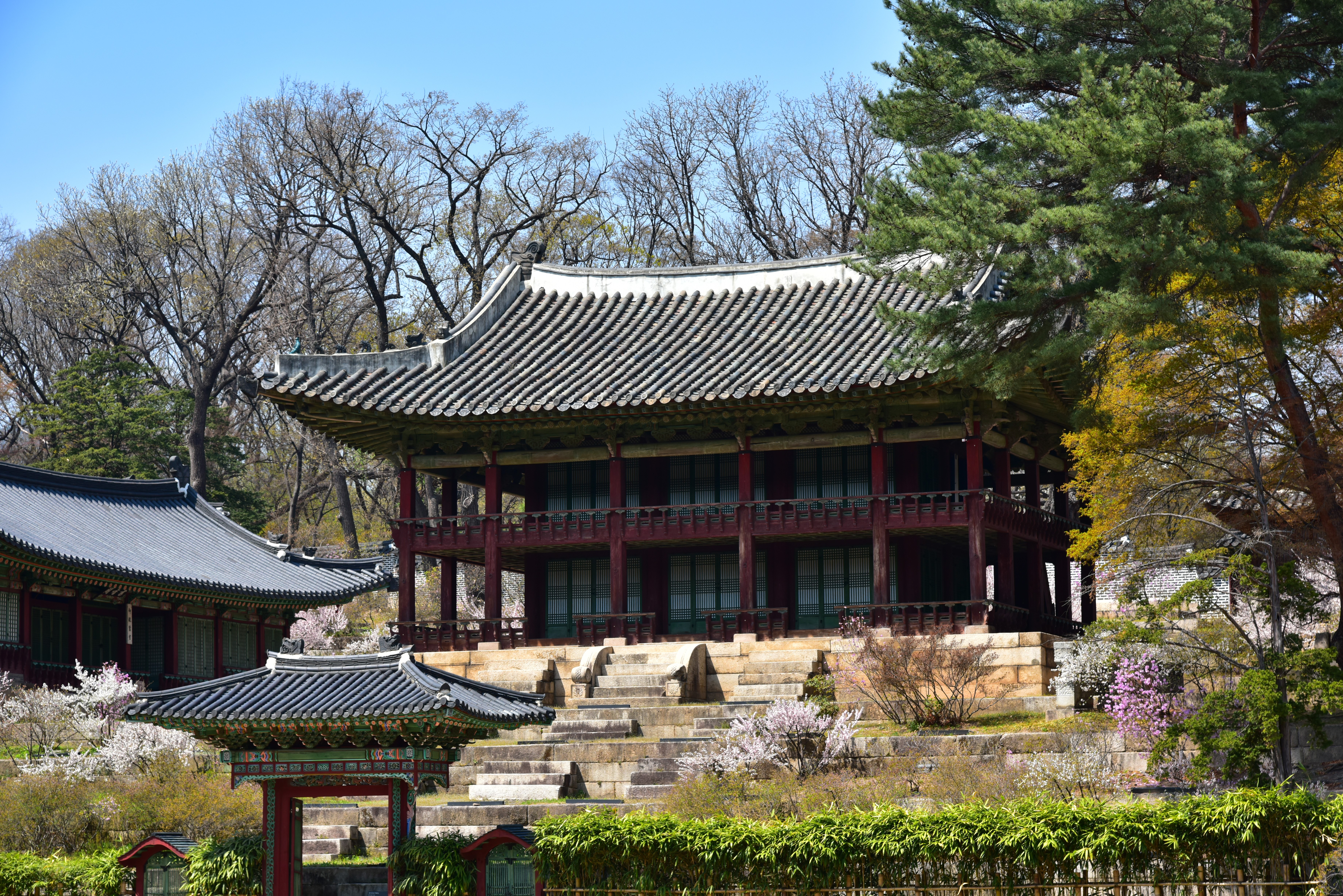 Korean architecture with traditional buildings and trees HD Wallpaper