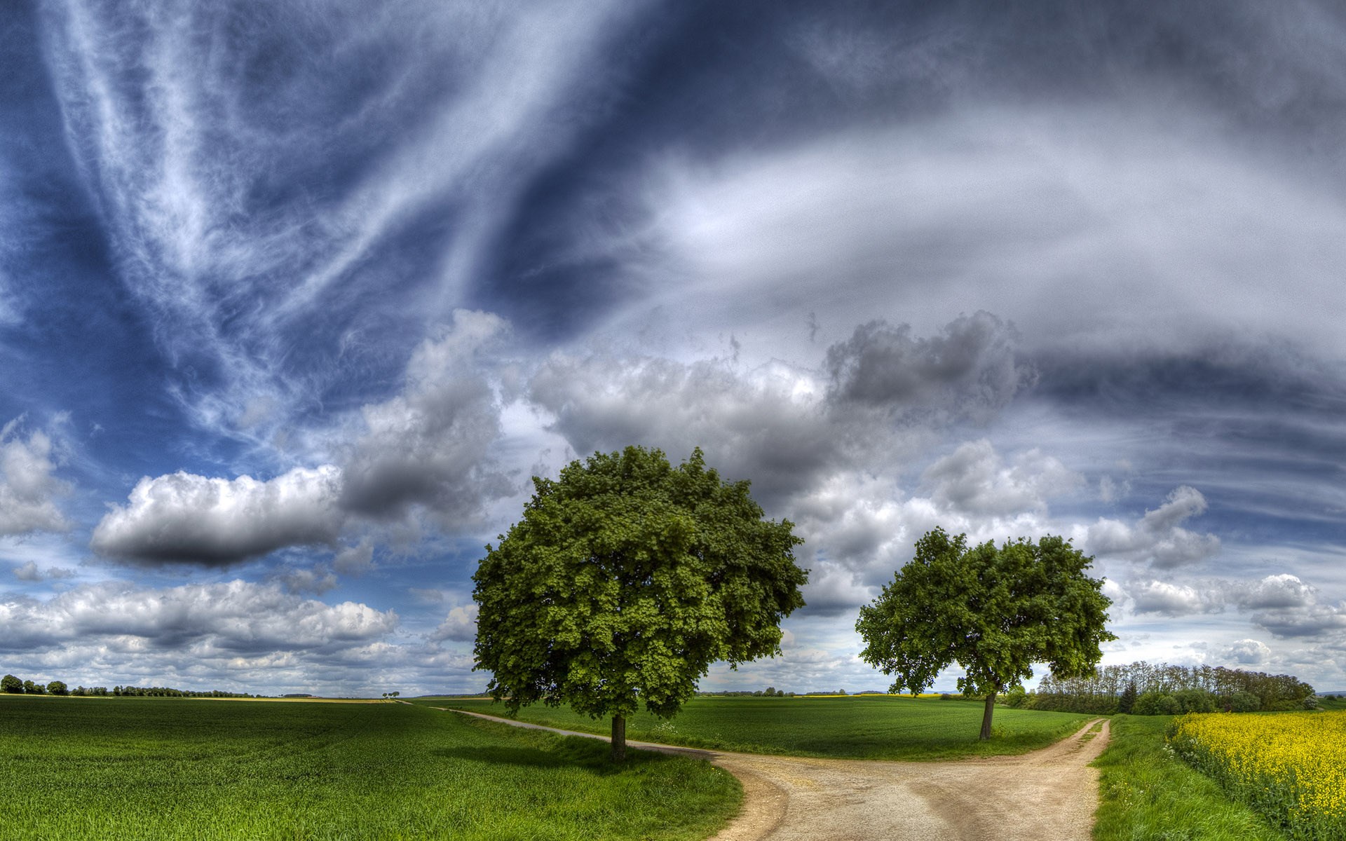 Two trees at a crossroads under a dramatic sky HD Wallpaper