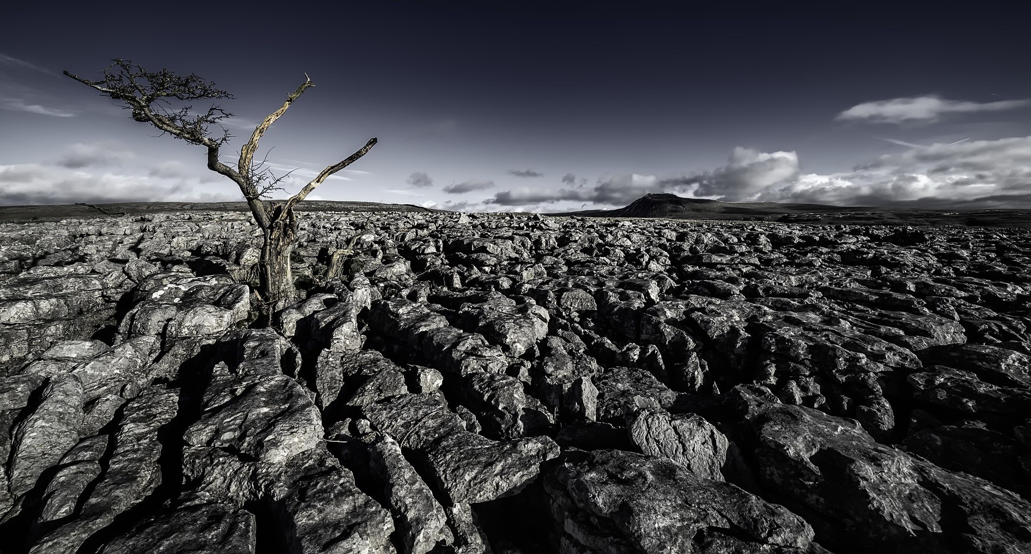 A lone tree on a rocky landscape under a dark sky HD Wallpaper