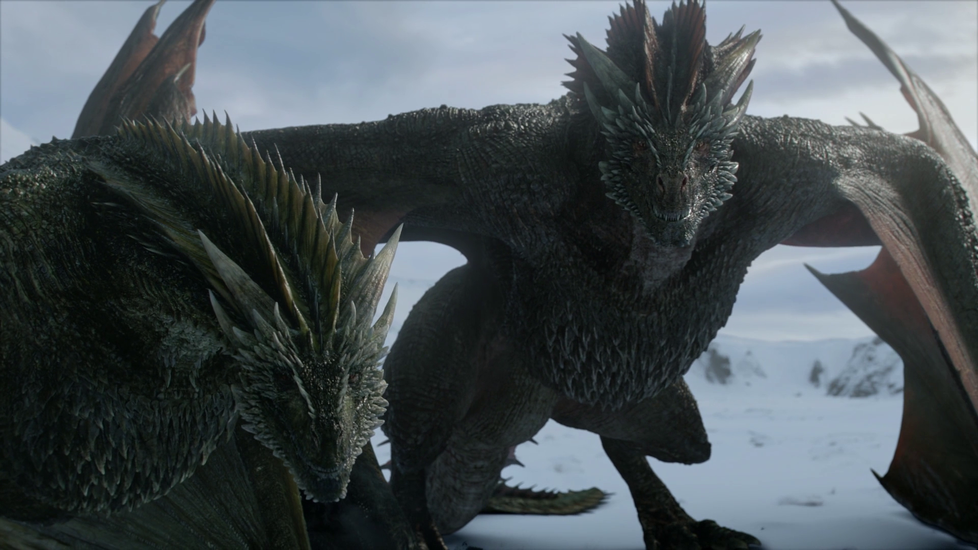 Two dragons in a snowy landscape from Game of Thrones HD Wallpaper