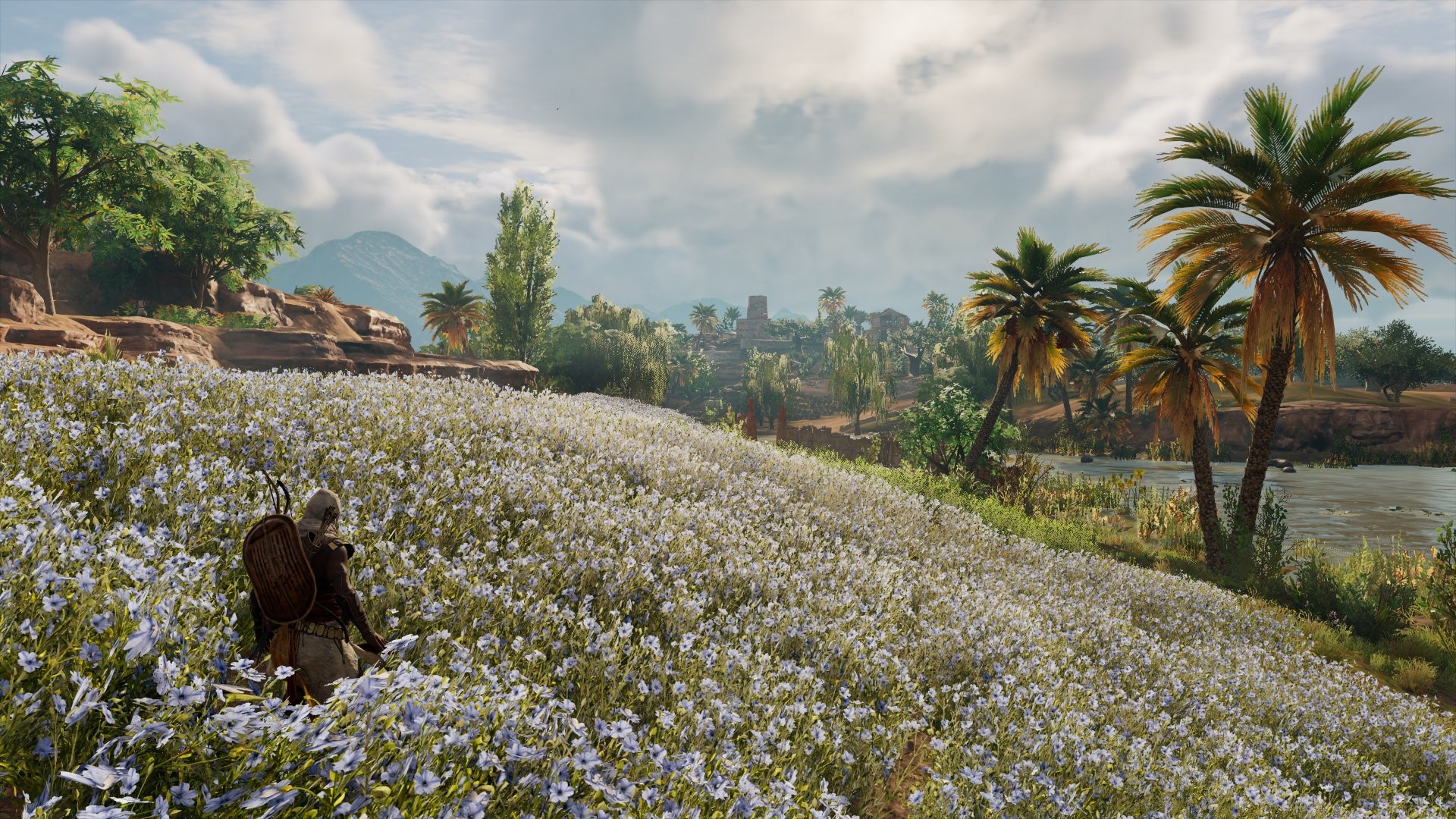 Bayek from Assassin's Creed Origins in a field of flowers HD Wallpaper