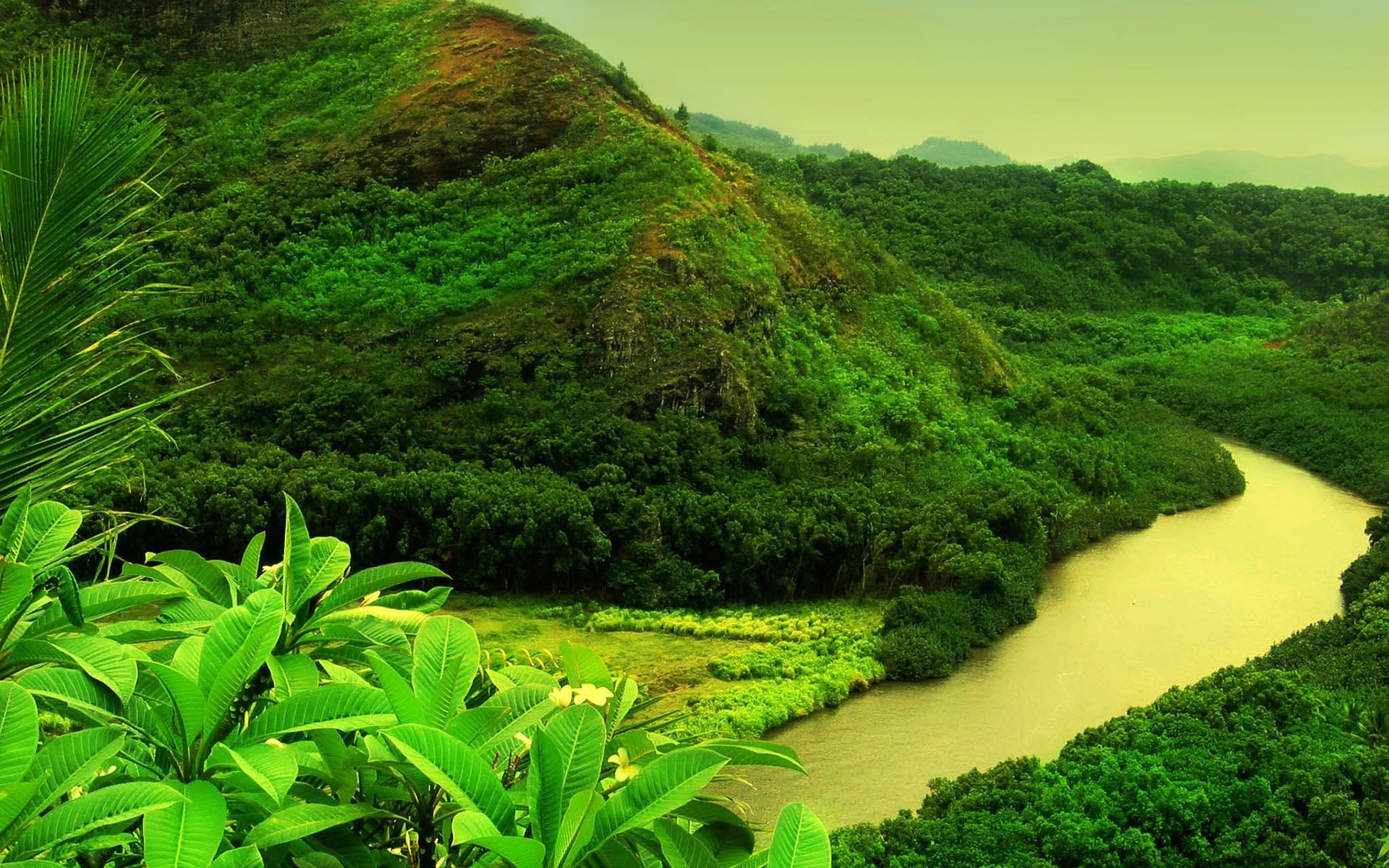 River winding through a lush green valley HD Wallpaper