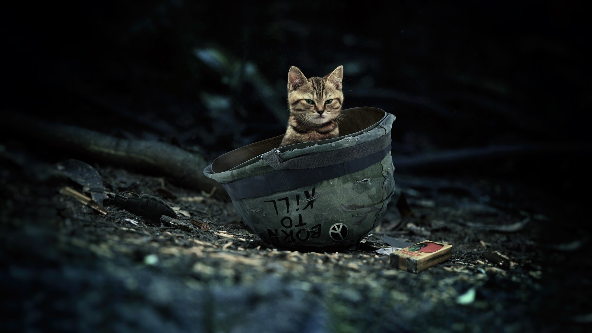 Kitten in a "Born to Kill" helmet with peace sign HD Wallpaper