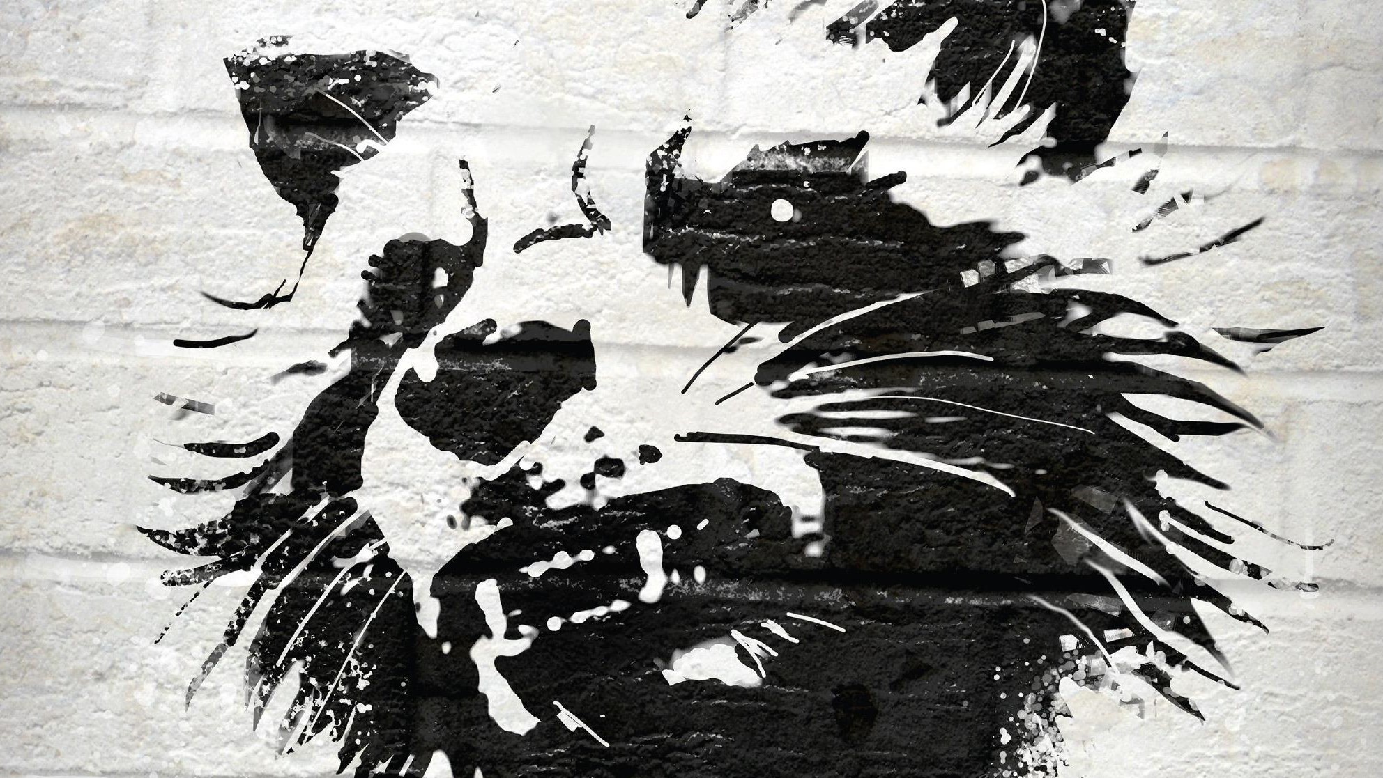 Rocket Raccoon from Guardians of the Galaxy stencil art HD Wallpaper