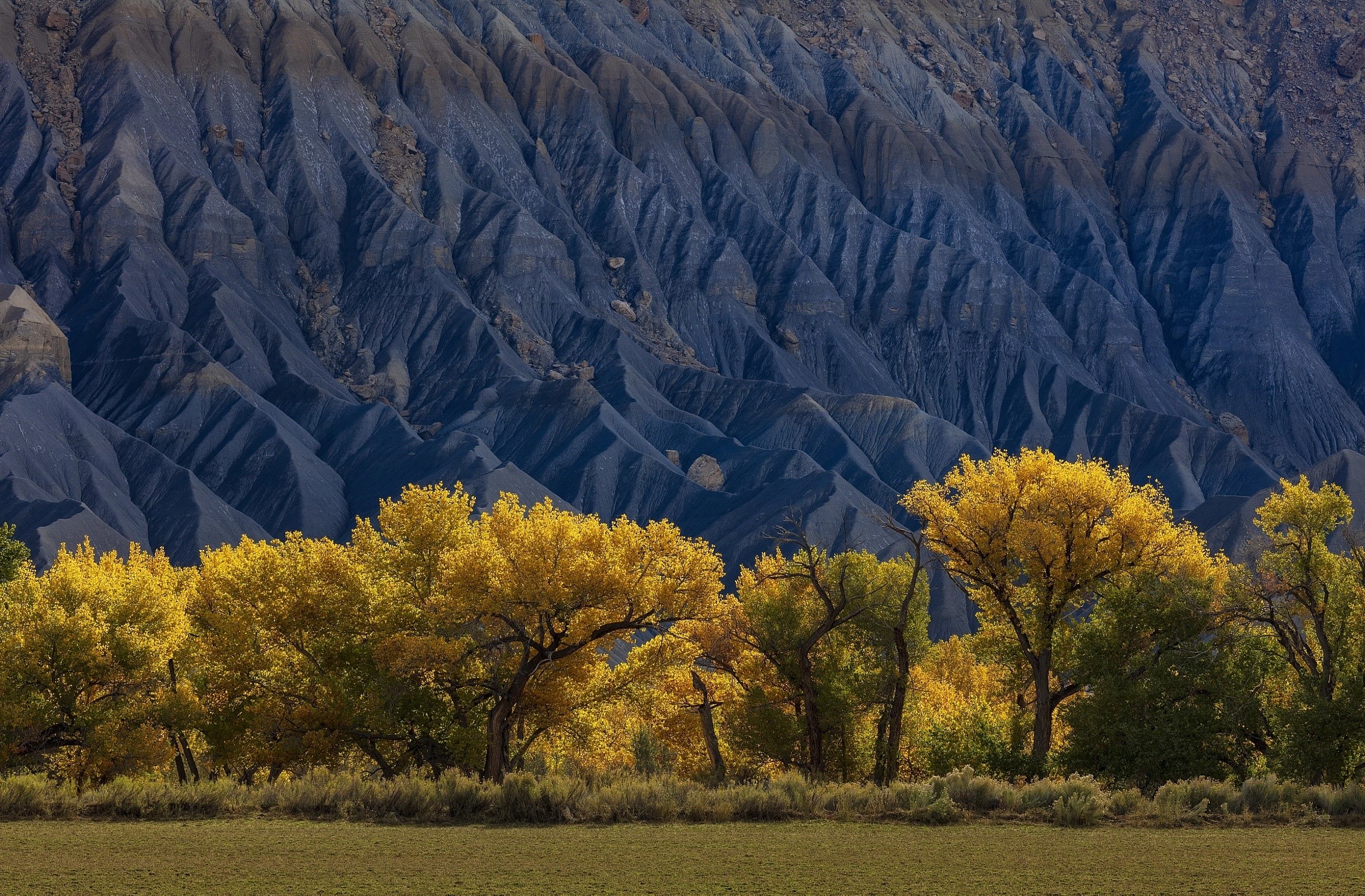Autumn trees in front of blue eroded mountains HD Wallpaper