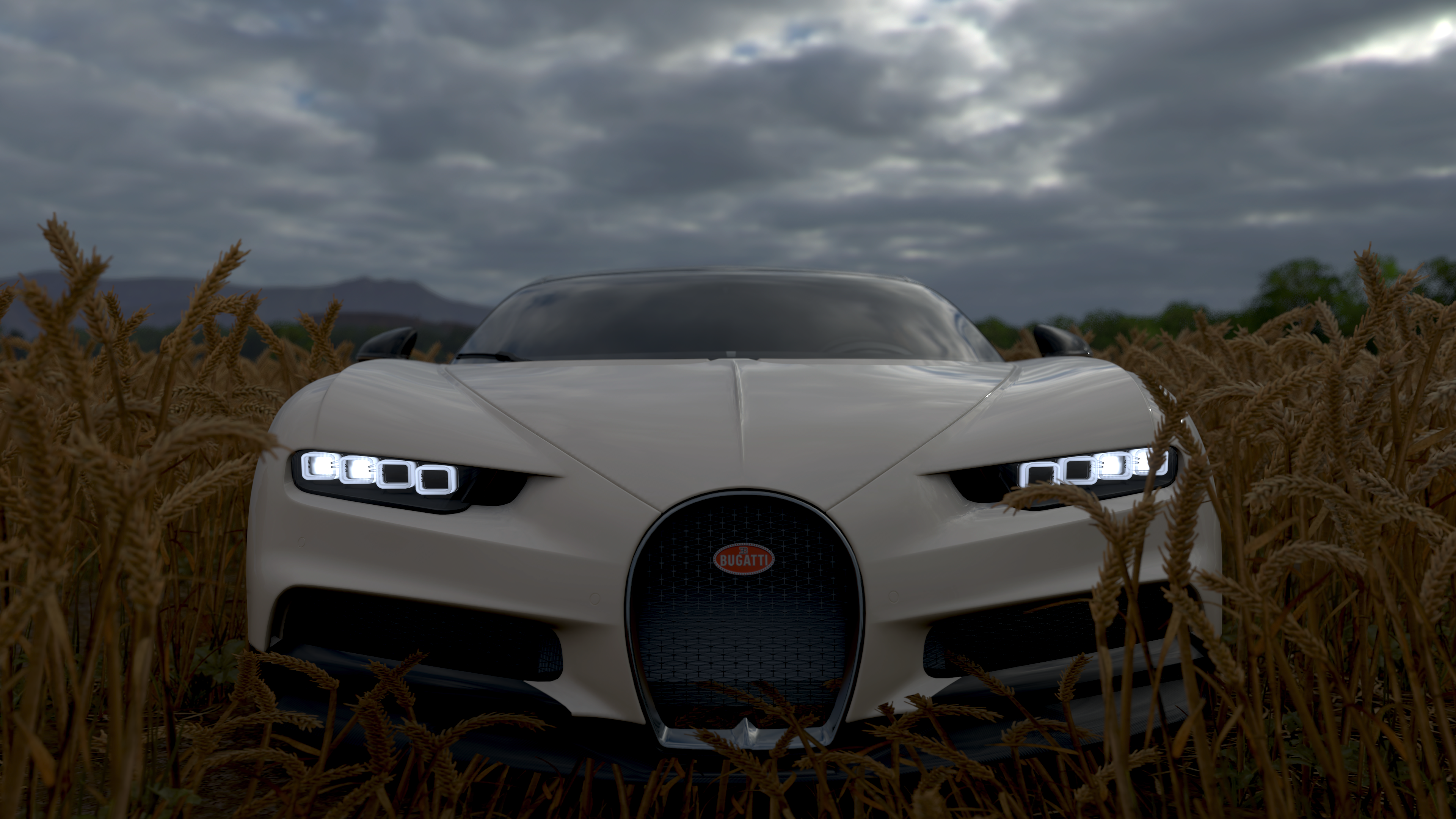Bugatti Chiron in a wheat field, Forza Horizon 4 HD Wallpaper