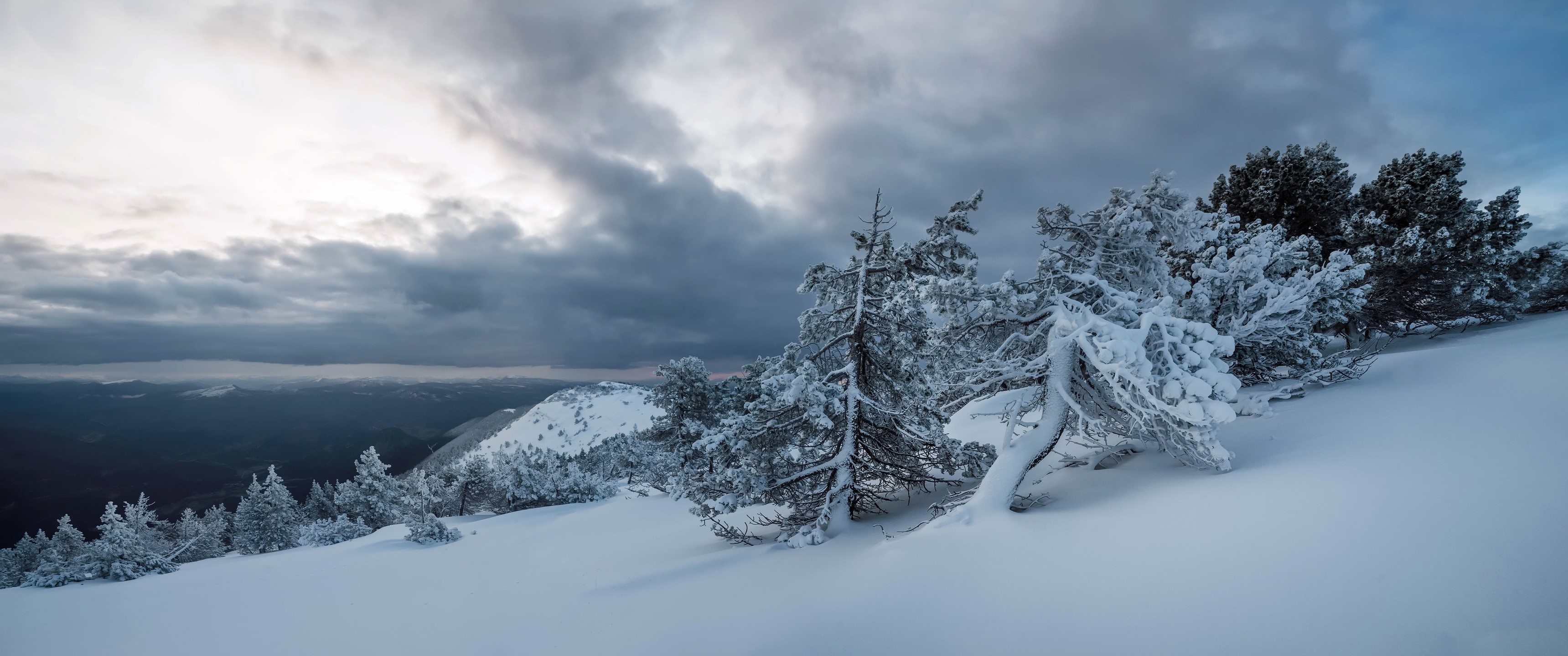 Snow-covered trees on a mountain slope under cloudy sky HD Wallpaper
