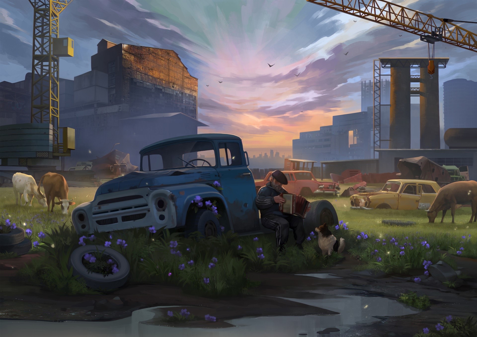 Man plays accordion by abandoned truck with cows and cranes HD Wallpaper