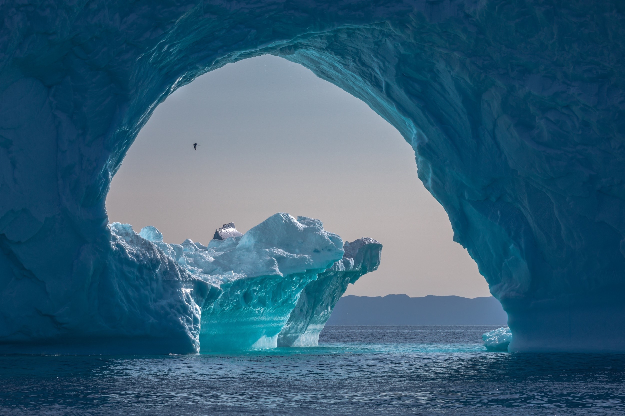 Iceberg arch with bird flying in Arctic sea HD Wallpaper