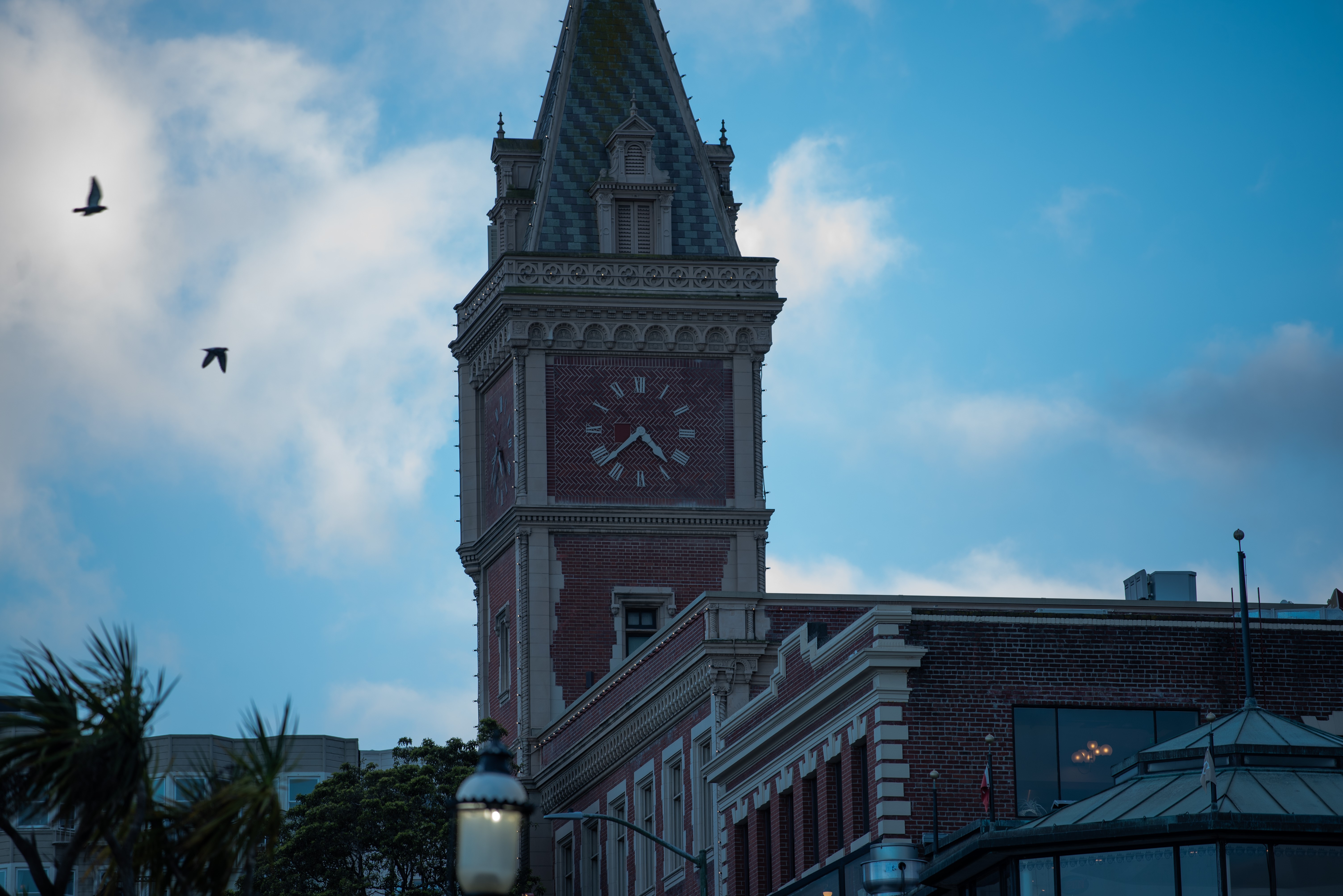 Clock tower in San Francisco with birds flying HD Wallpaper
