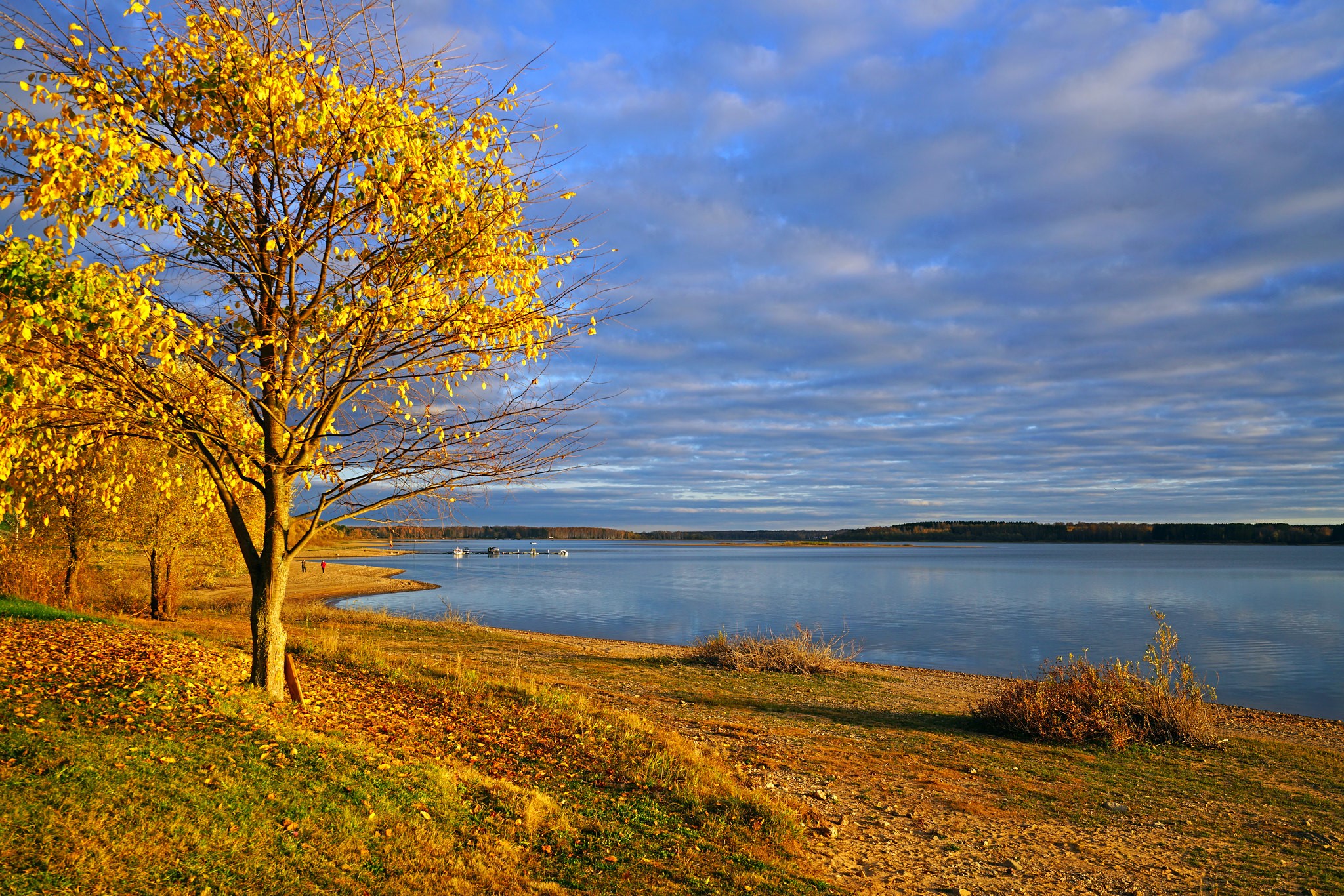 Autumn tree by a lake in Russia HD Wallpaper