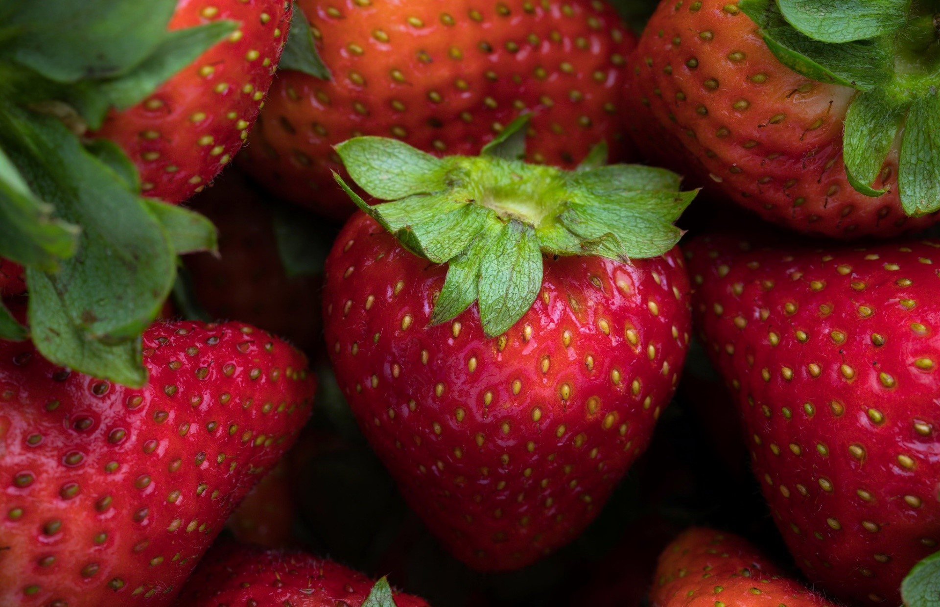 Close-up of fresh red strawberries HD Wallpaper