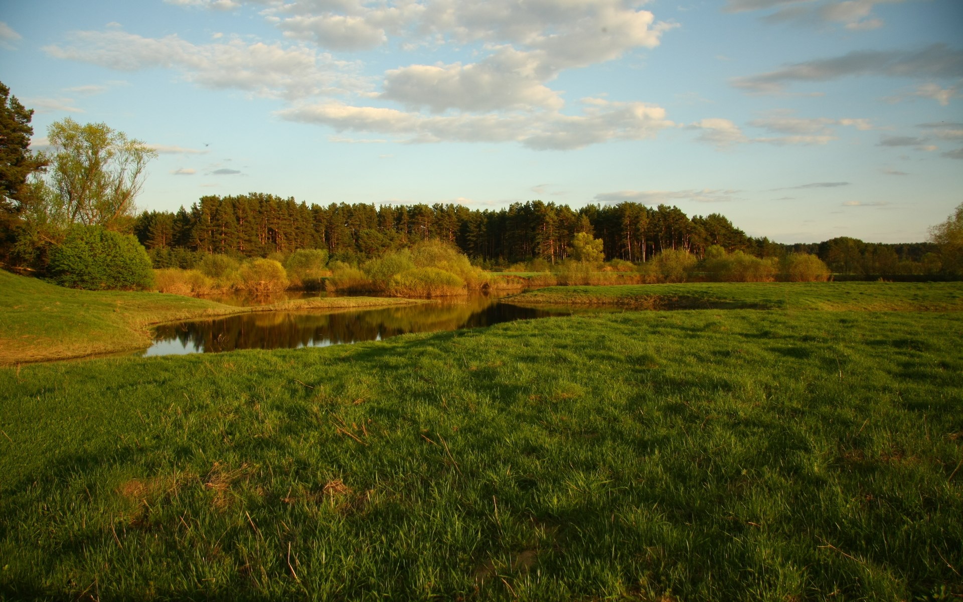 A tranquil landscape with a winding river and a dense forest. HD Wallpaper