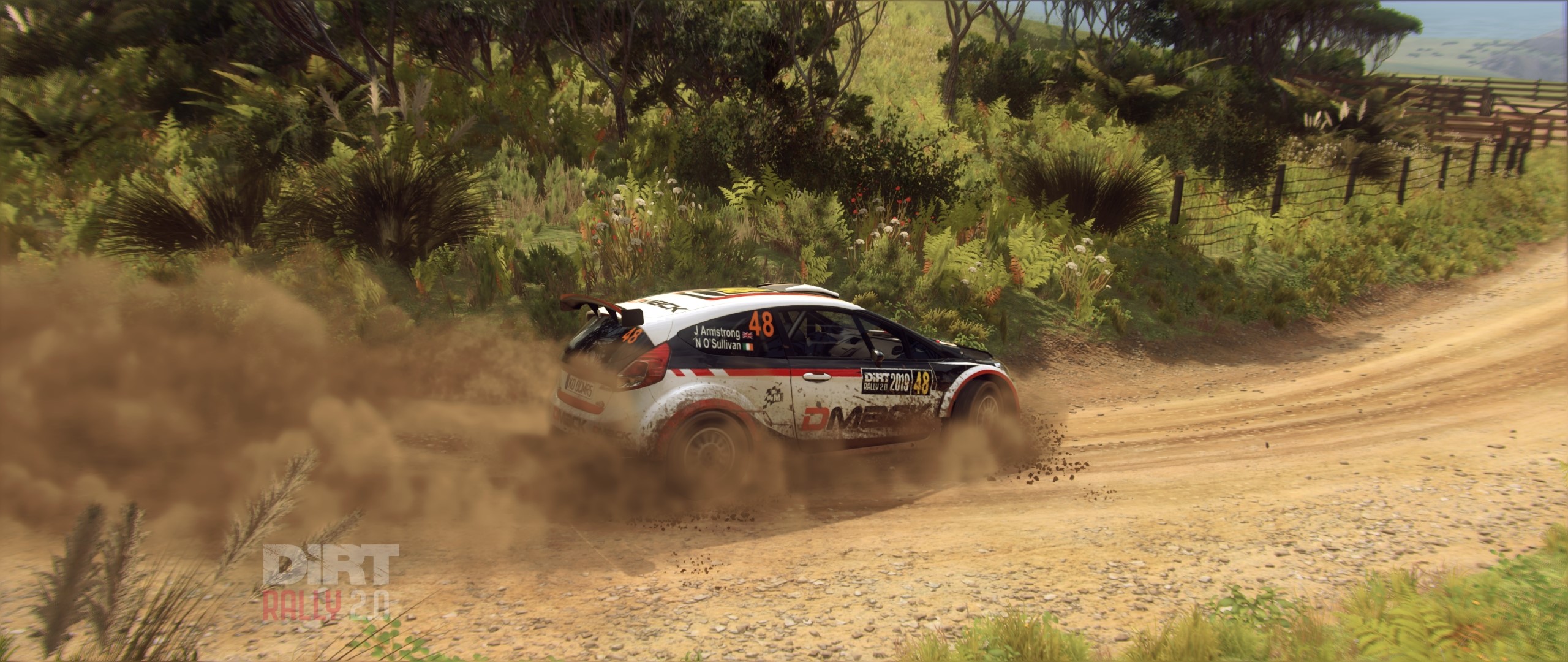 DiRT Rally 2.0 Ford Fiesta Rally Car HD Wallpaper