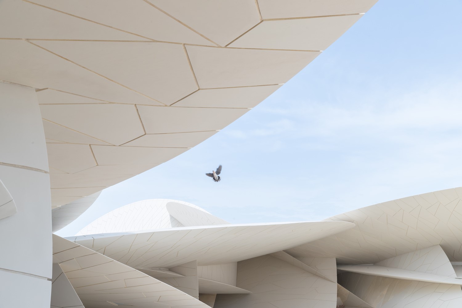 Bird flying near modern architecture in Qatar HD Wallpaper