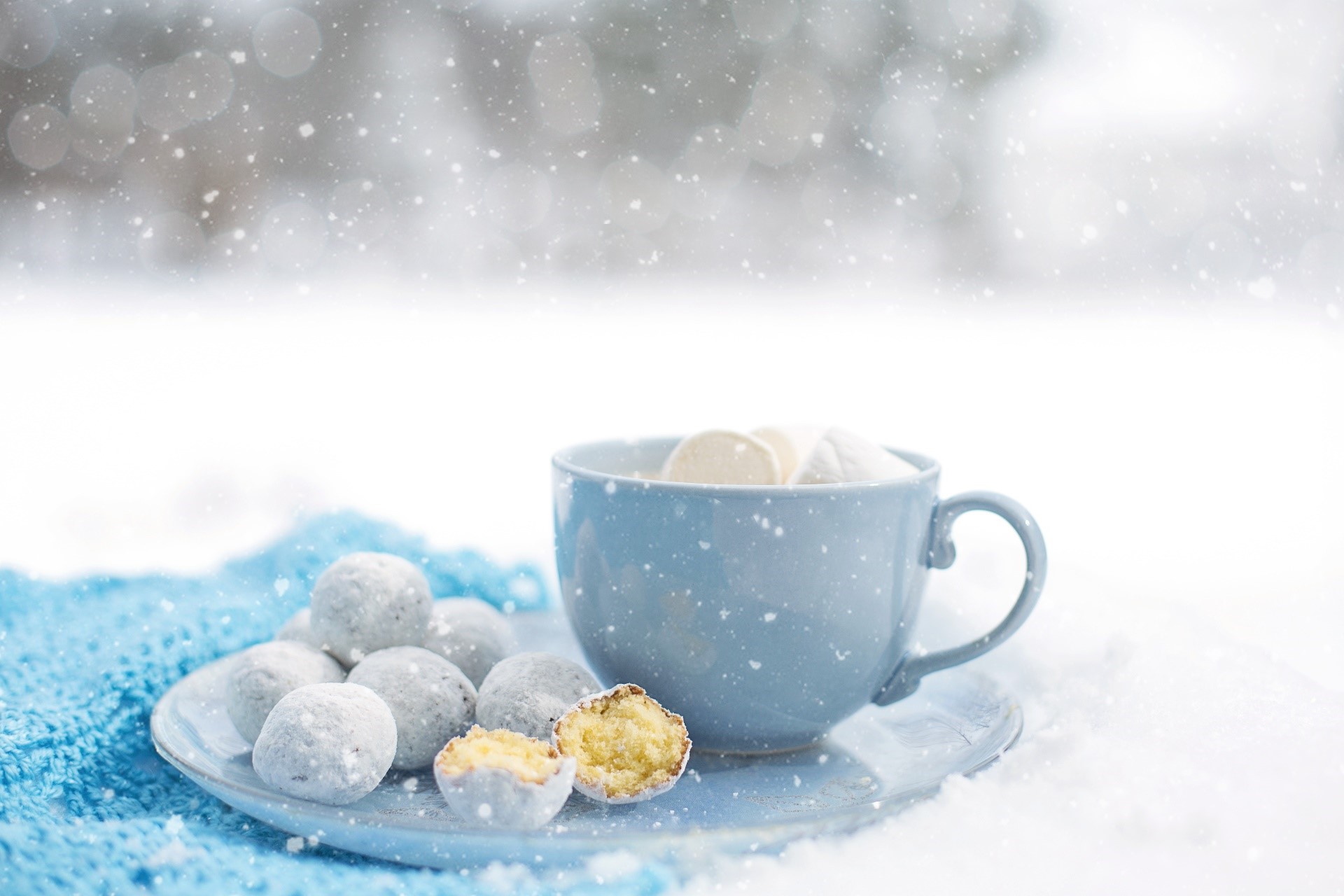 Cup of hot chocolate with marshmallows and cookies in snow HD Wallpaper