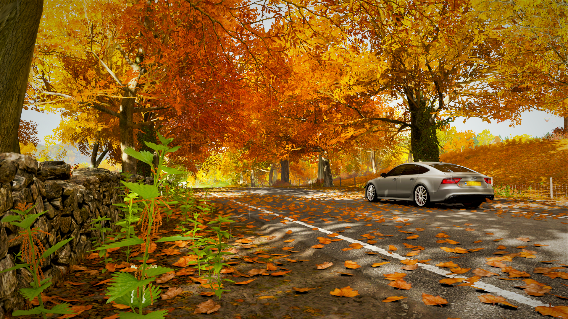 Silver Audi RS7 on a road in fall, Forza Horizon 4 HD Wallpaper