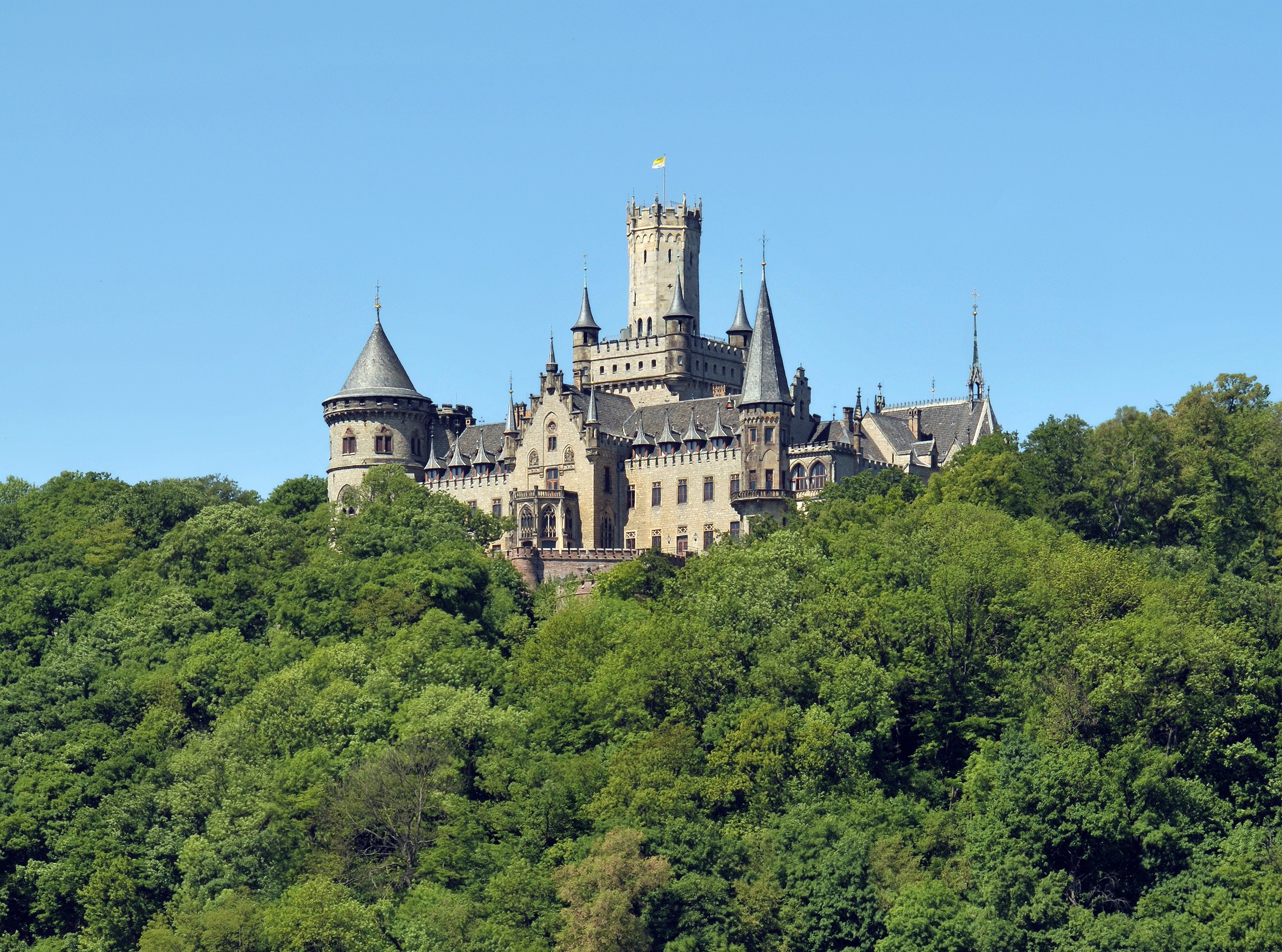 Marienburg Castle on a hill with trees HD Wallpaper