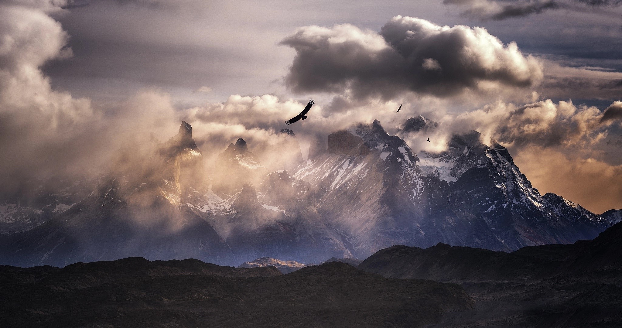 Birds flying over snowy mountains with clouds HD Wallpaper