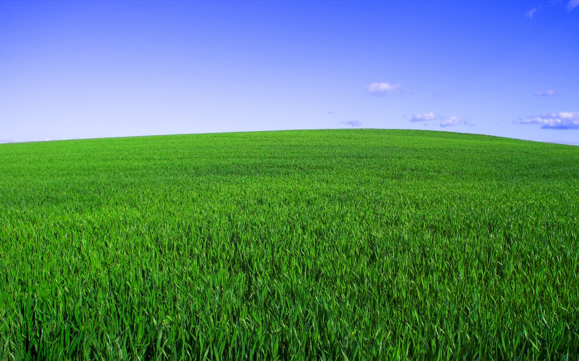 Green rolling hills under a blue sky HD Wallpaper