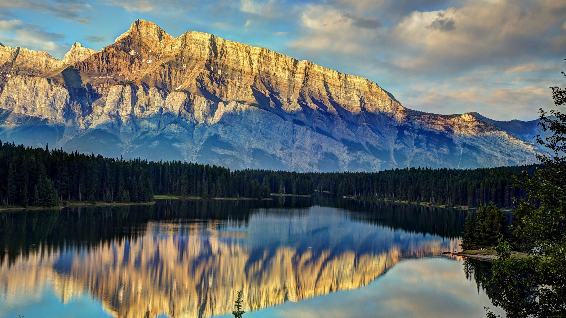 Mountain range reflected in a lake with pine trees HD Wallpaper