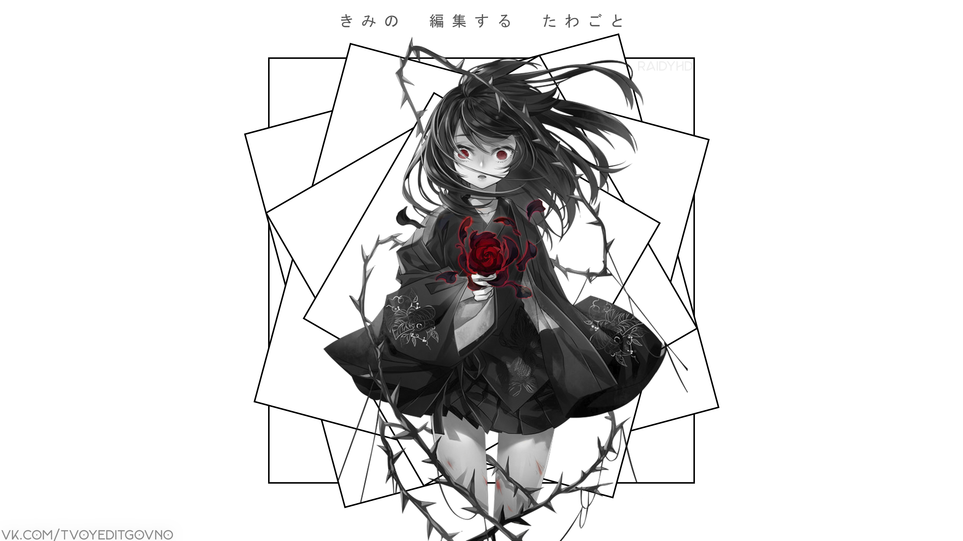 Anime girl with red rose and thorns HD Wallpaper