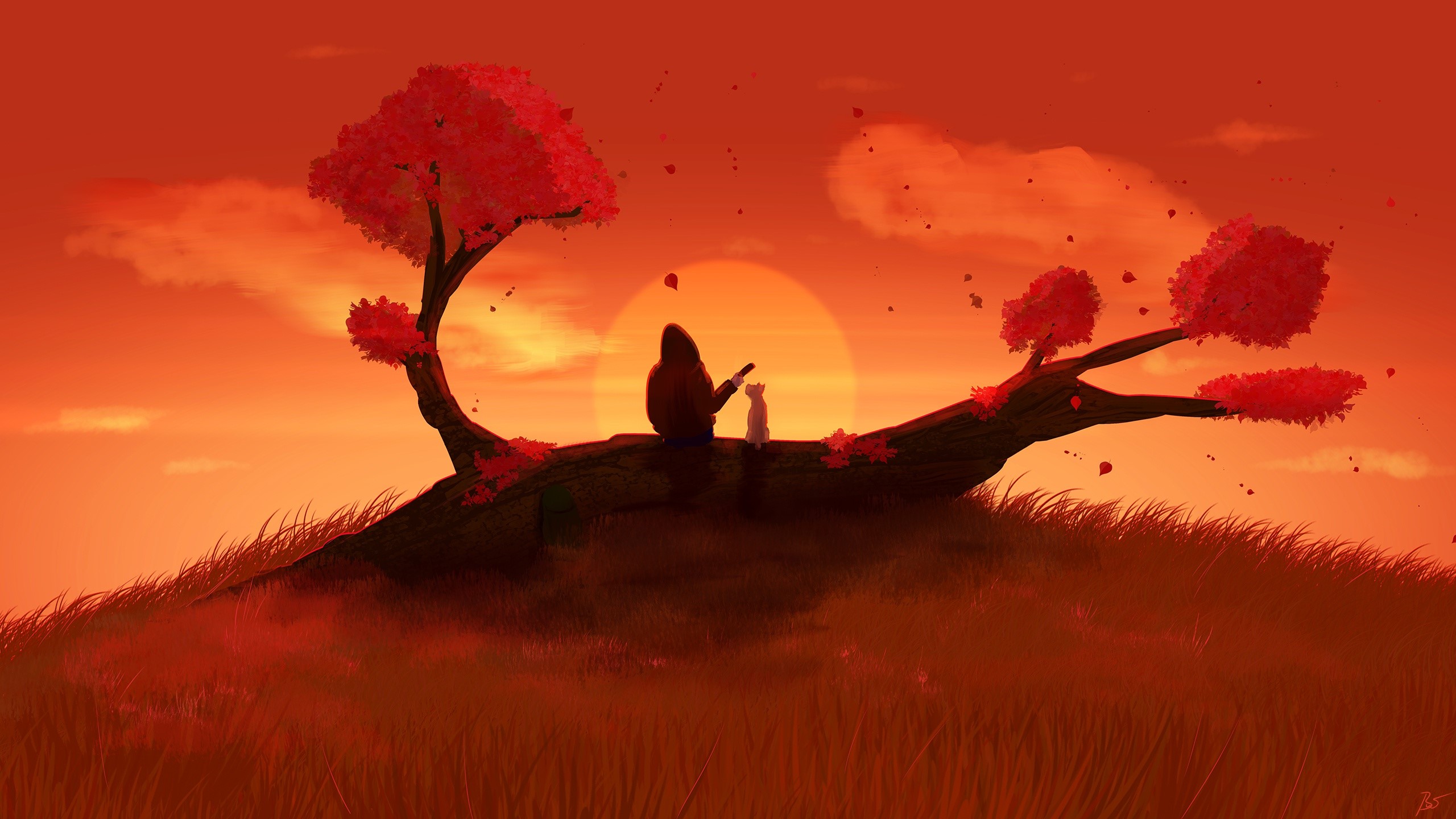 Person and cat on a tree branch at sunset HD Wallpaper