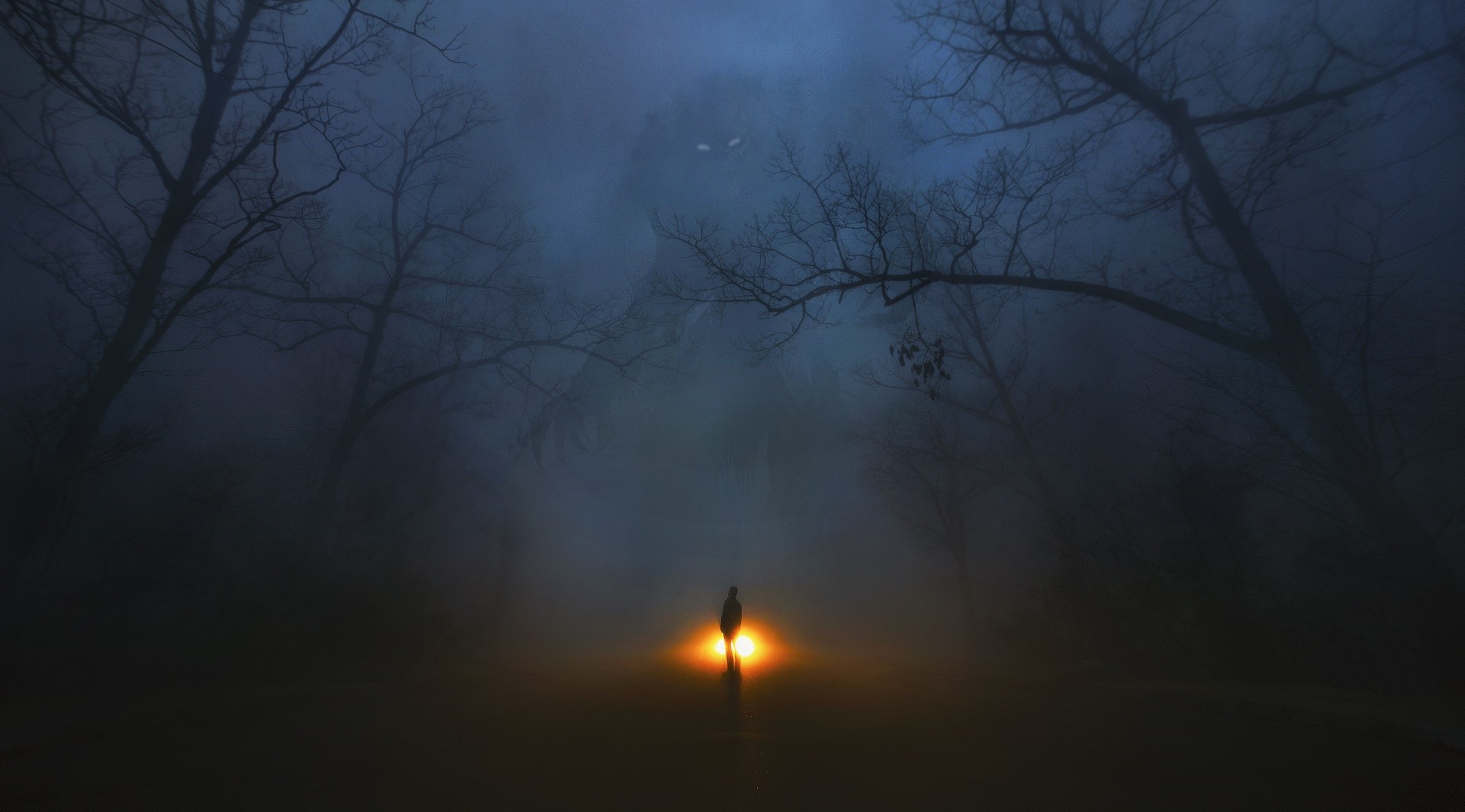 A lone figure stands in a foggy forest with a bright light. HD Wallpaper