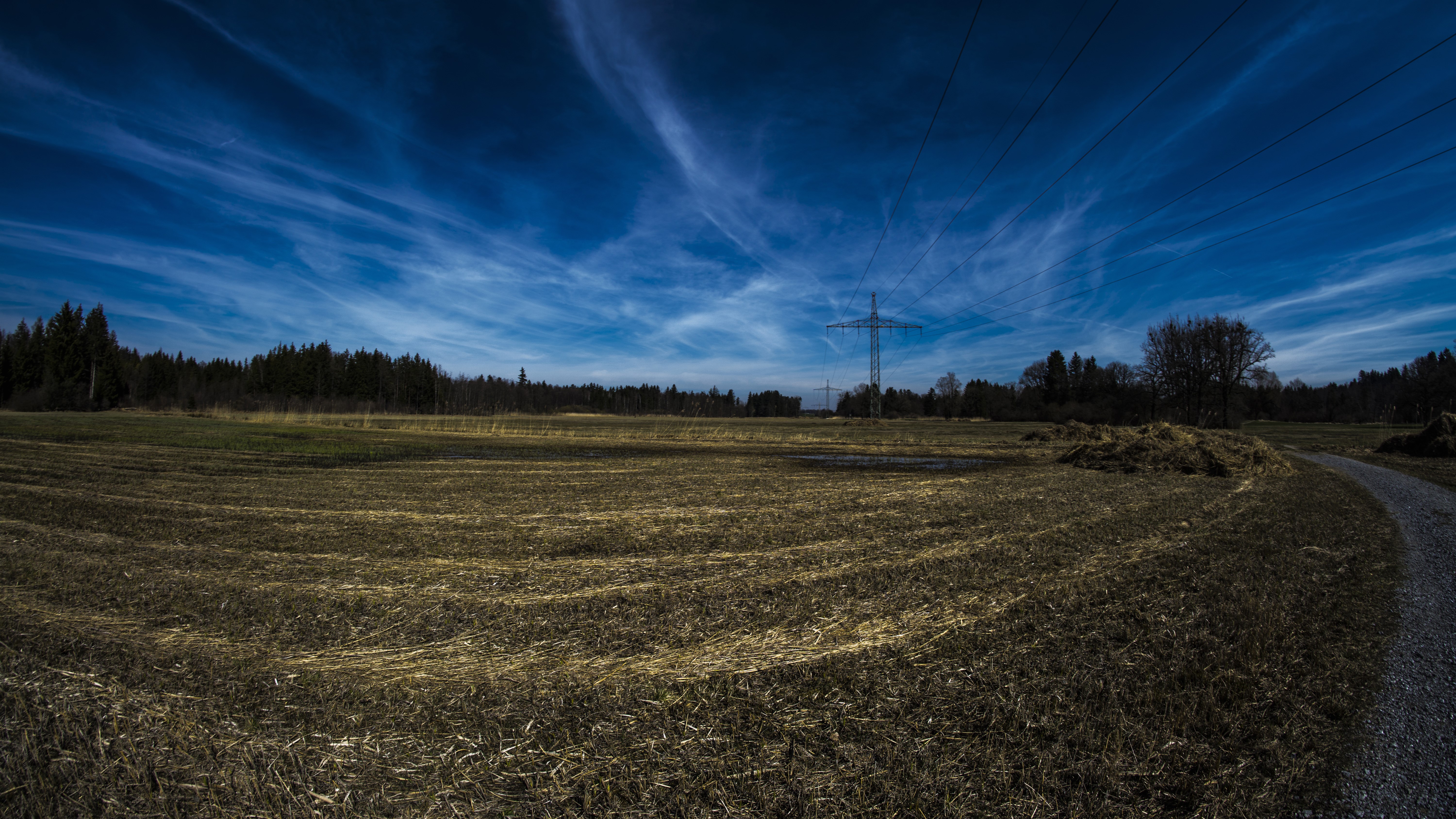 4K landscape with power lines and trees HD Wallpaper
