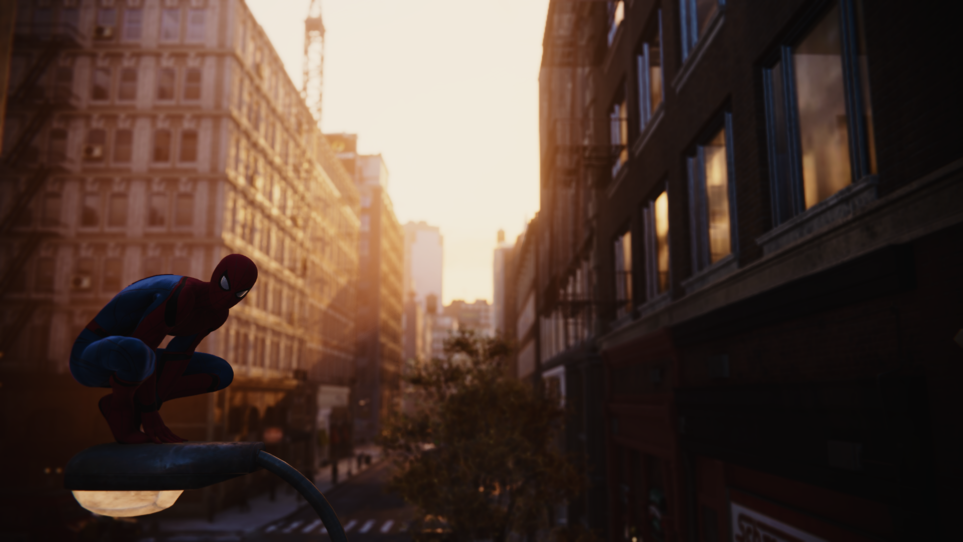 Spider-Man from Marvel Comics crouching on a lamppost HD Wallpaper