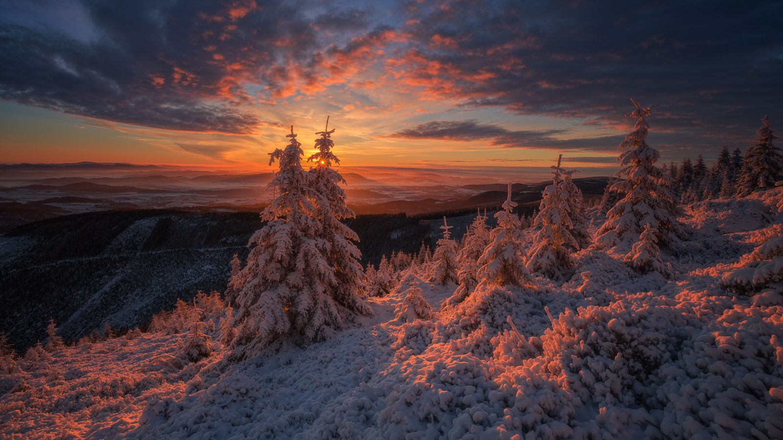 Snow-covered trees at sunset with dramatic clouds HD Wallpaper