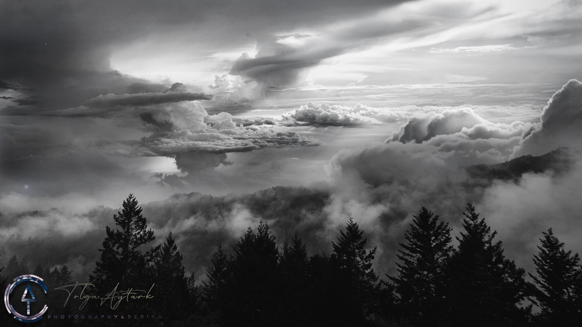 Monochrome landscape with storm clouds over trees HD Wallpaper