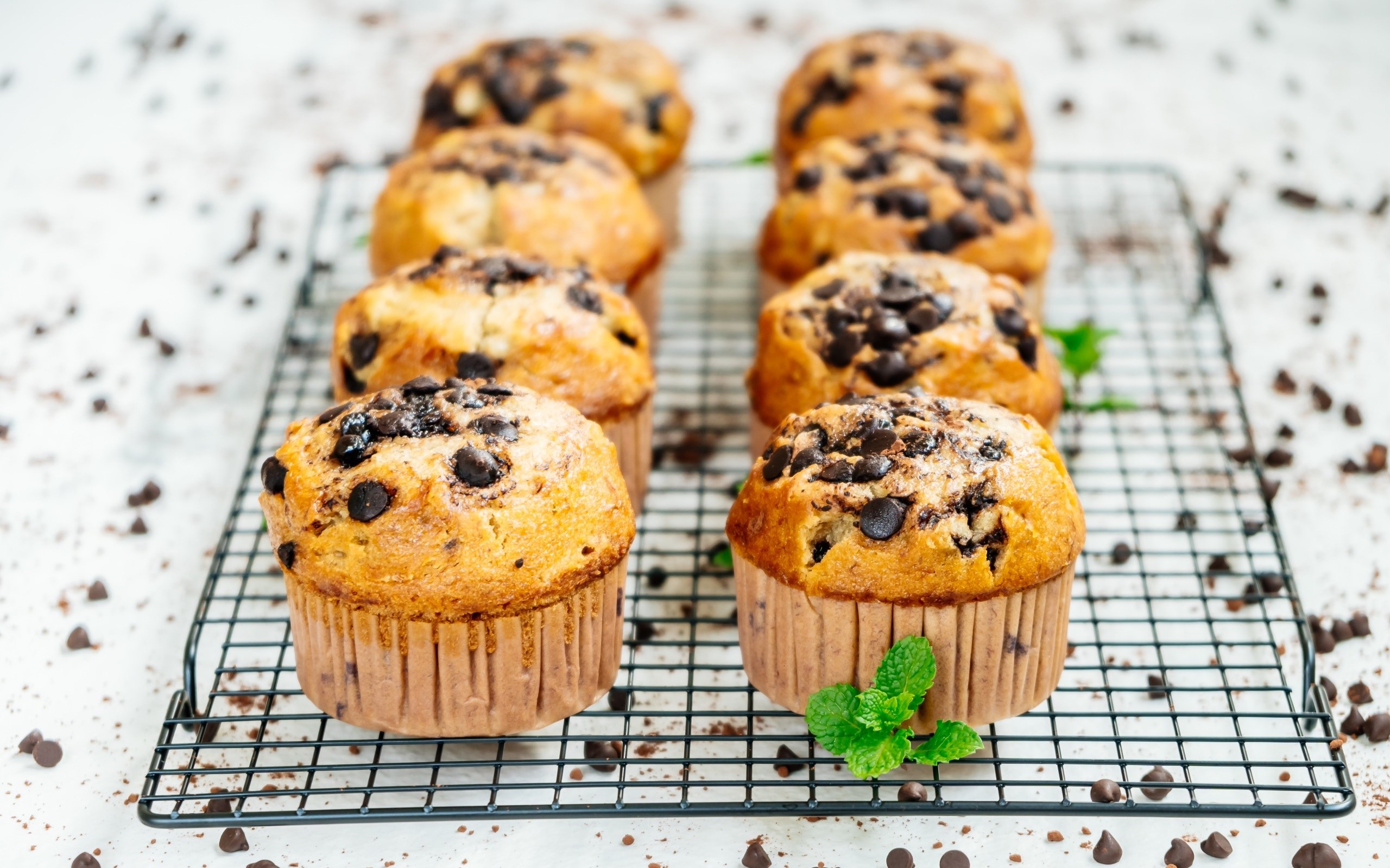 Chocolate chip muffins on a cooling rack HD Wallpaper
