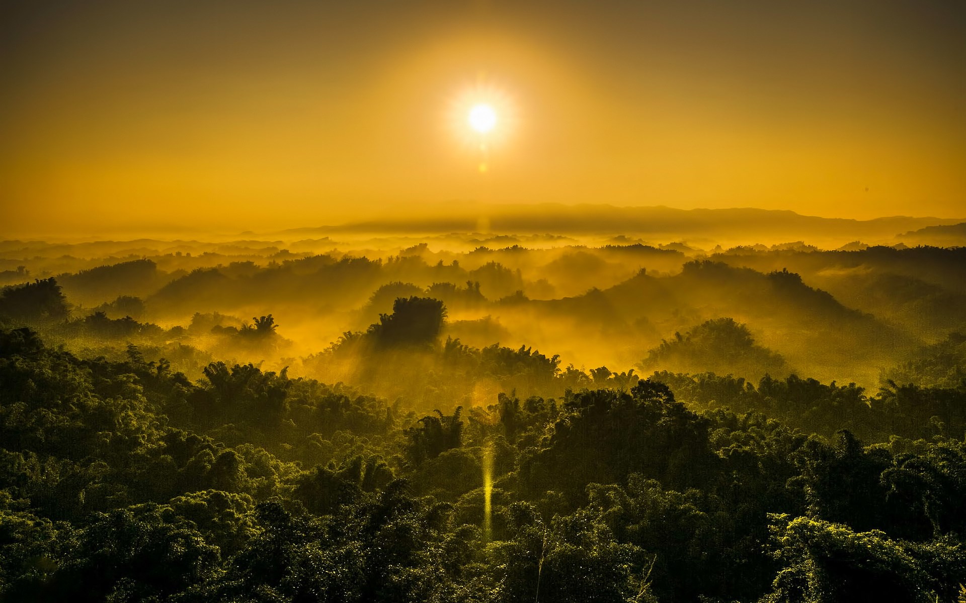 Sunrise over misty mountains and forests HD Wallpaper