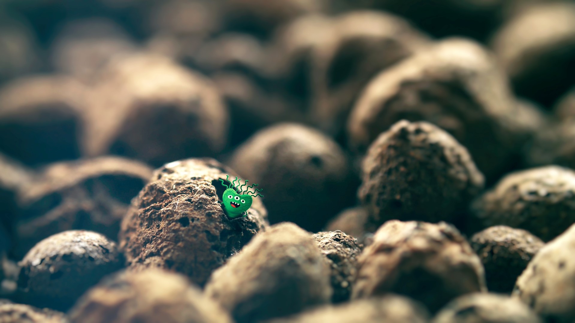 Green alien creature on rocks HD Wallpaper